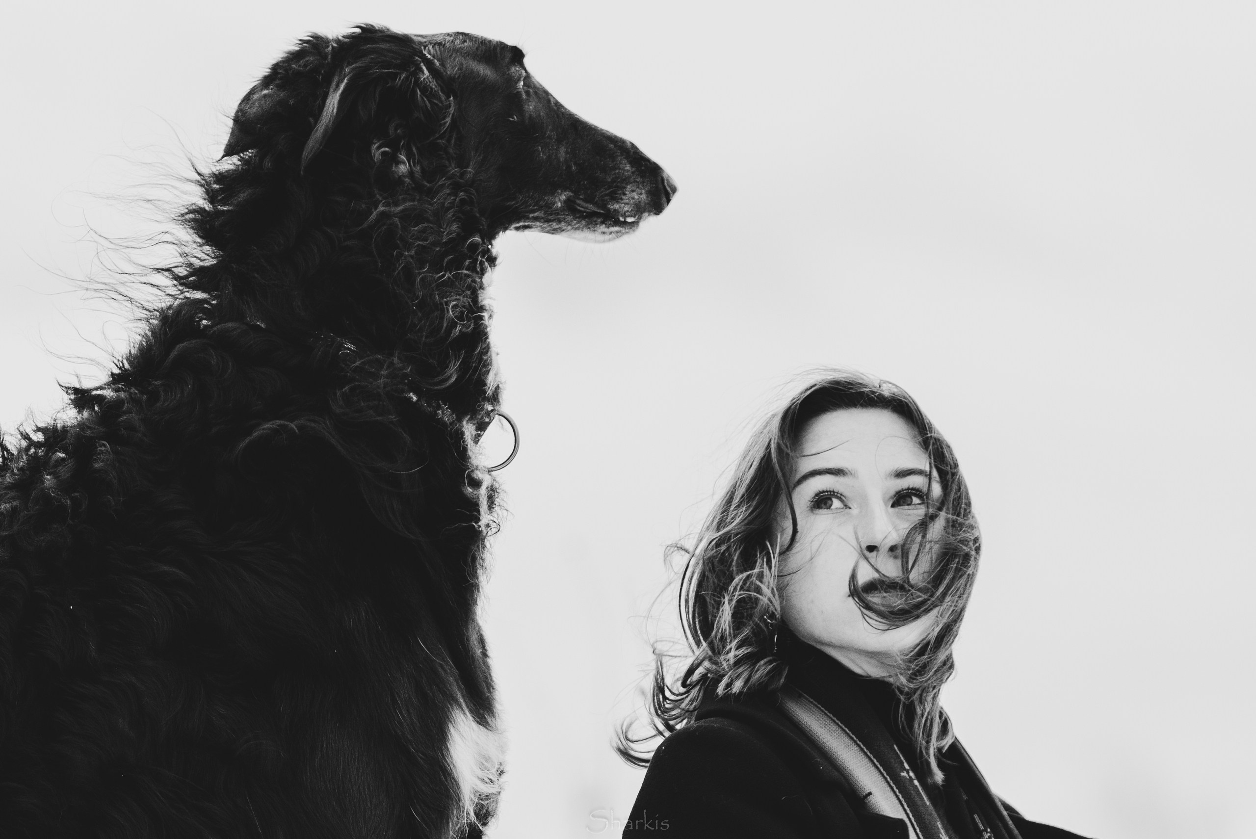 Катя и Гримм. Главная