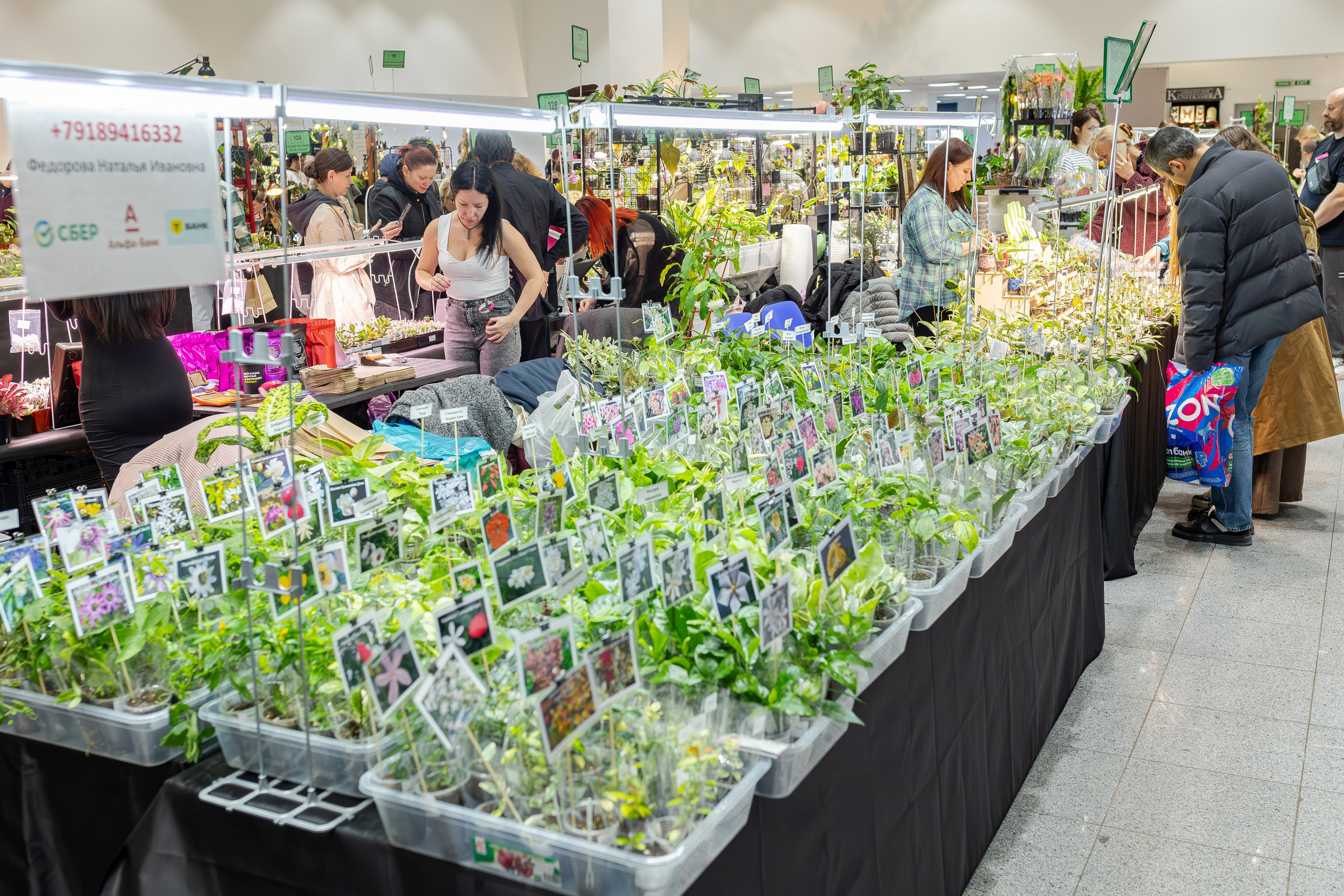 Монстериум апрель 2026. Александра Куликова фотограф, Москва