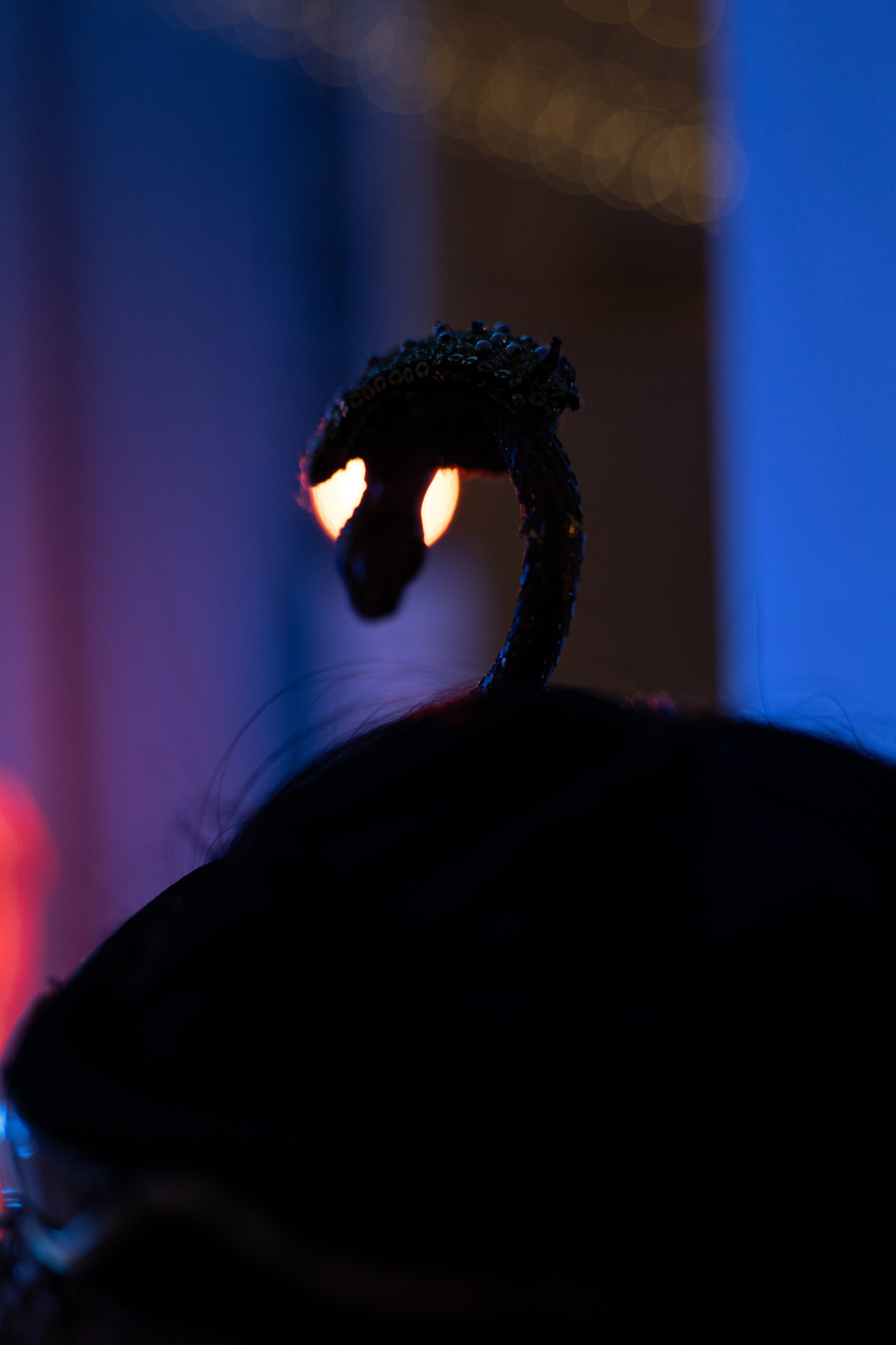 «Гранд Зал» Карнавал