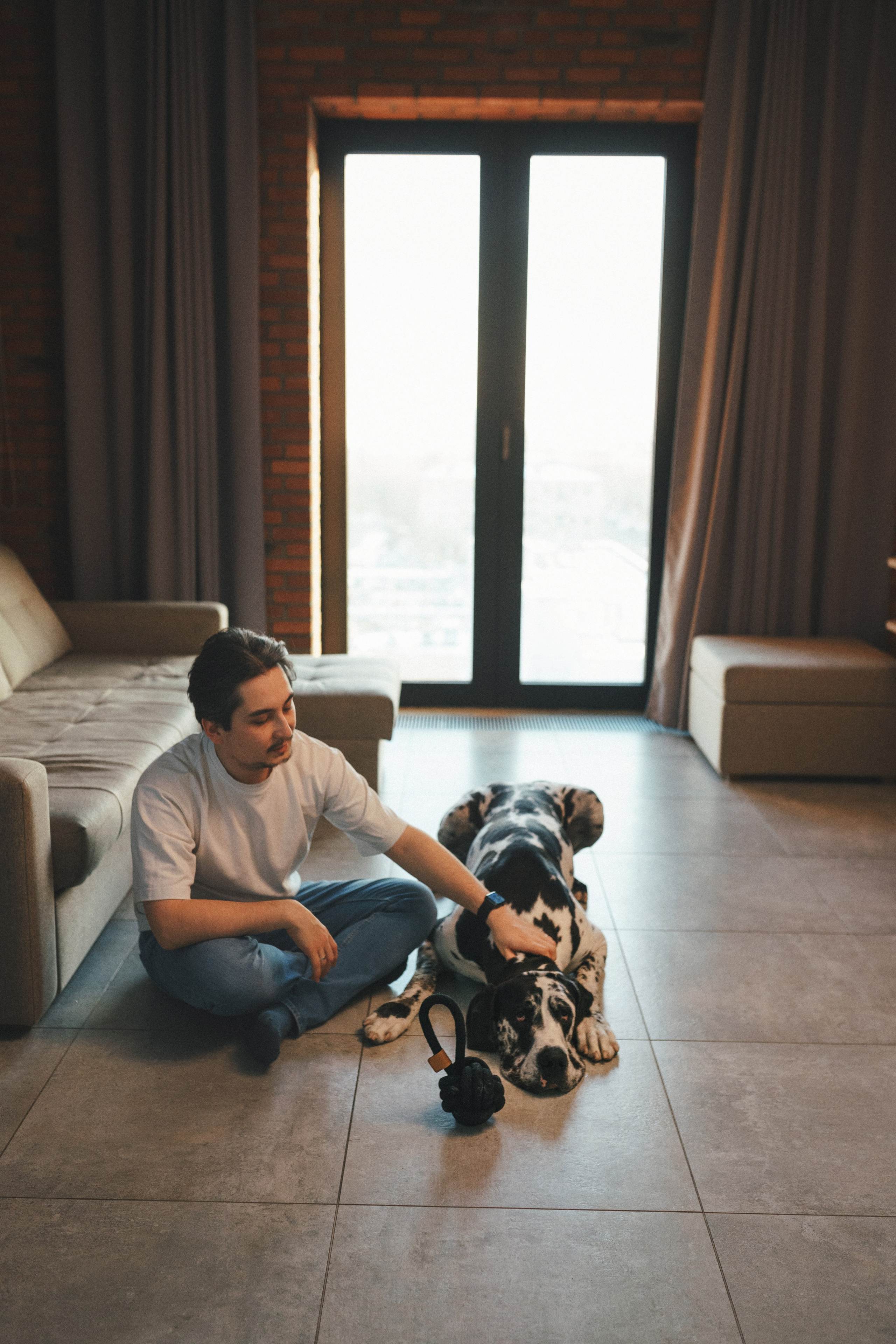 M-Pets. Фотограф анималист Осипчикова Мария