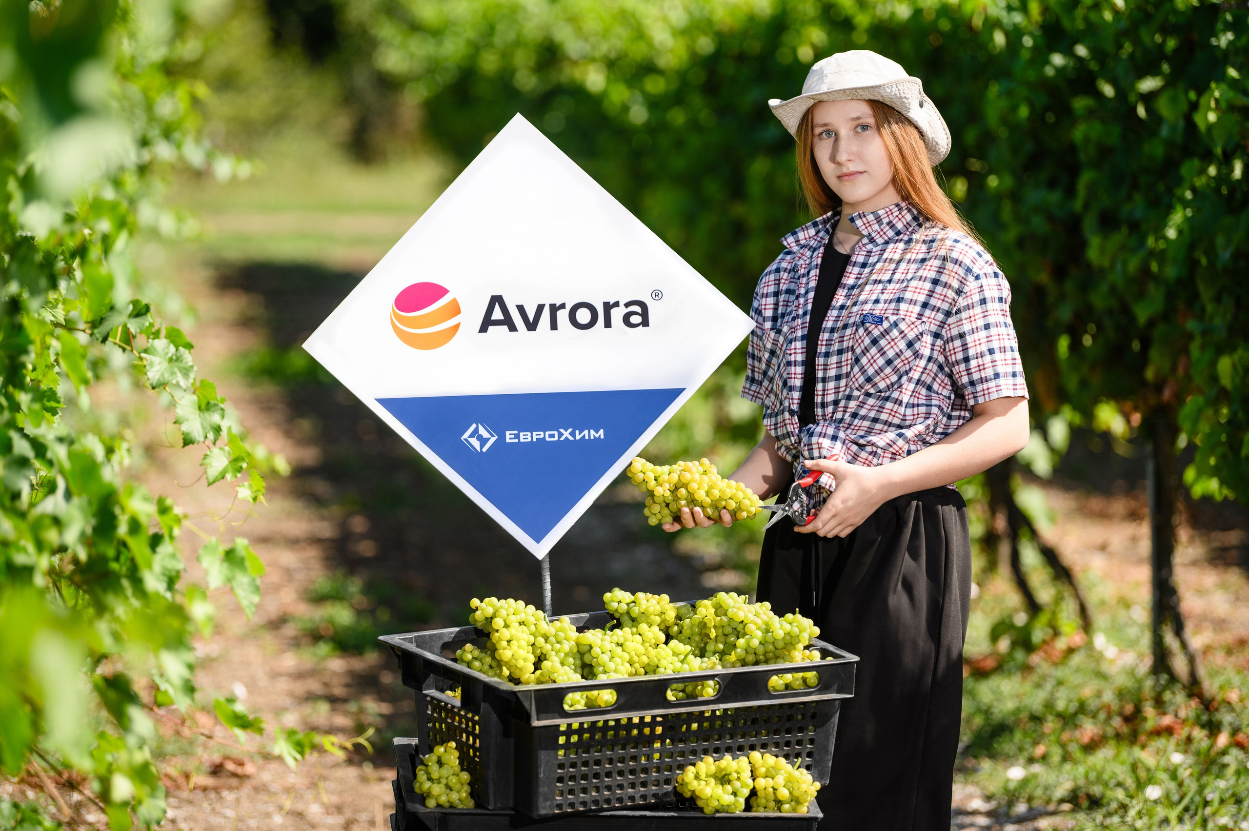 Проекты. Профессиональный фотограф Вячеслав Плацында | Липецк |