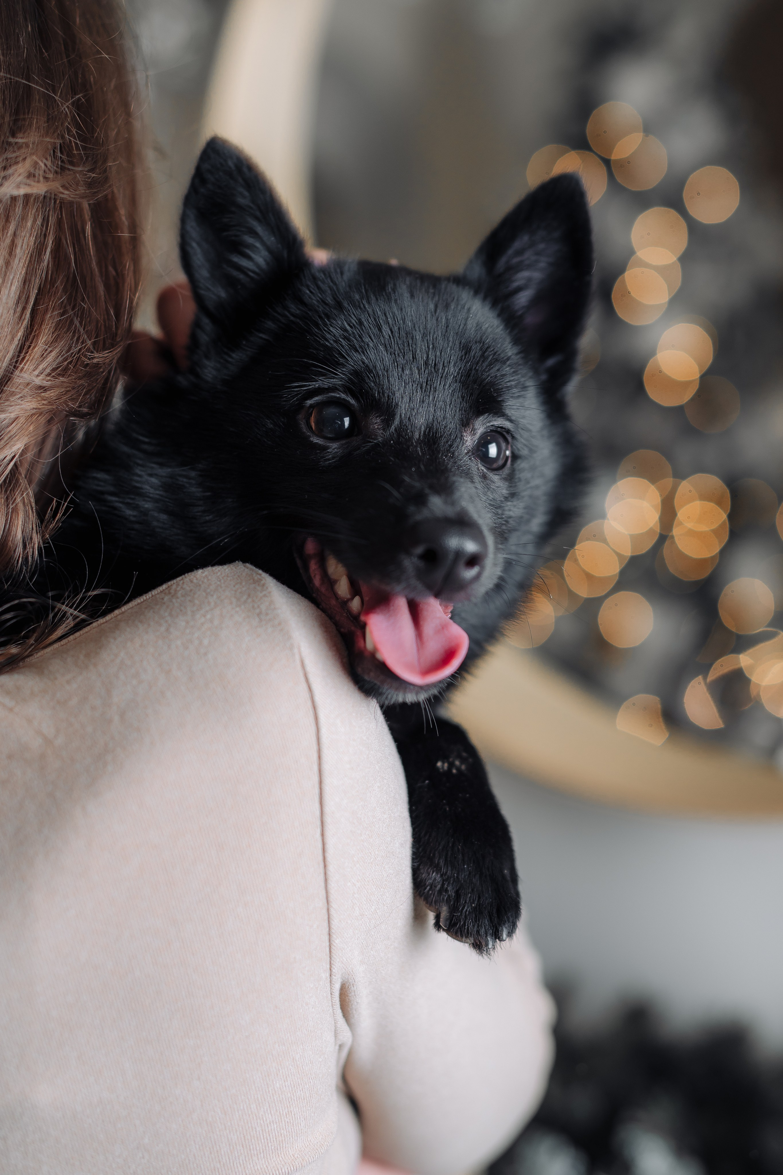 Антон и Александра — портретная съёмка. Иван Кубик — фотограф и видеограф