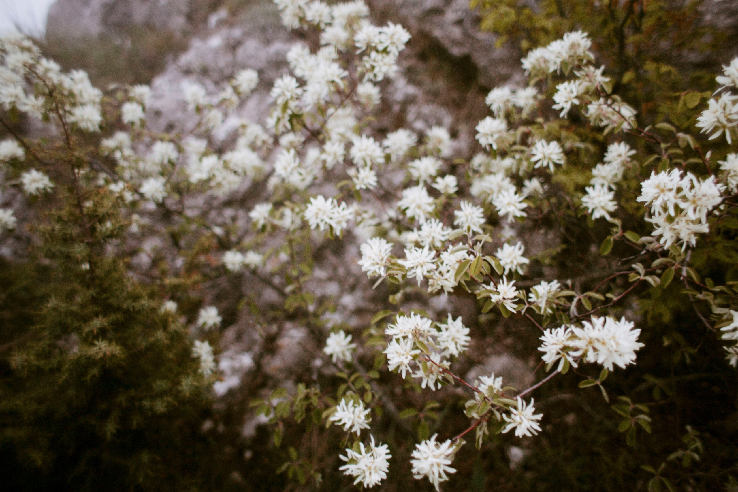МореНебоОблака. Ваш портретный фотограф в Москве Катя Прокофьева