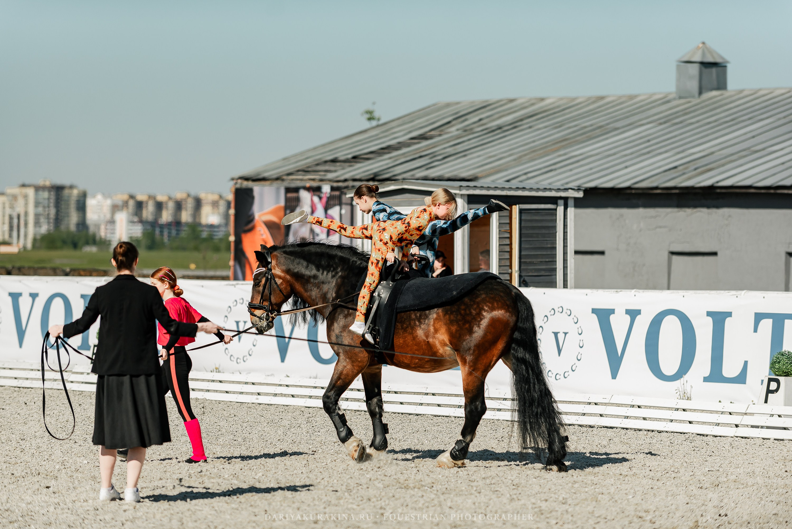 РЕПОРТАЖ МКК ВОЛЬТ «LA TULIPS». Конный фотограф Куракина Дарья • Фотосессии с лошадьми