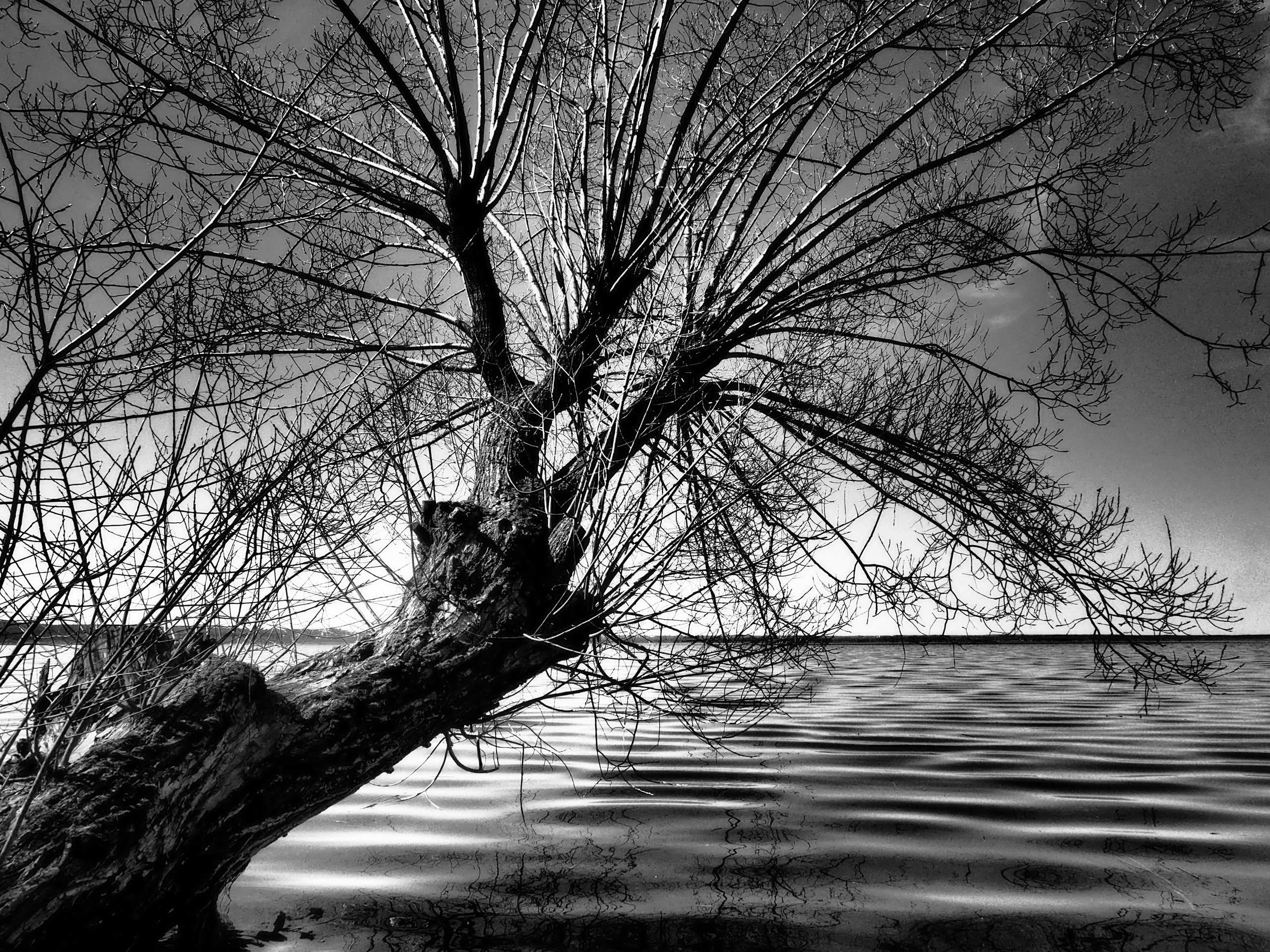 Хулиганизмы. Главная