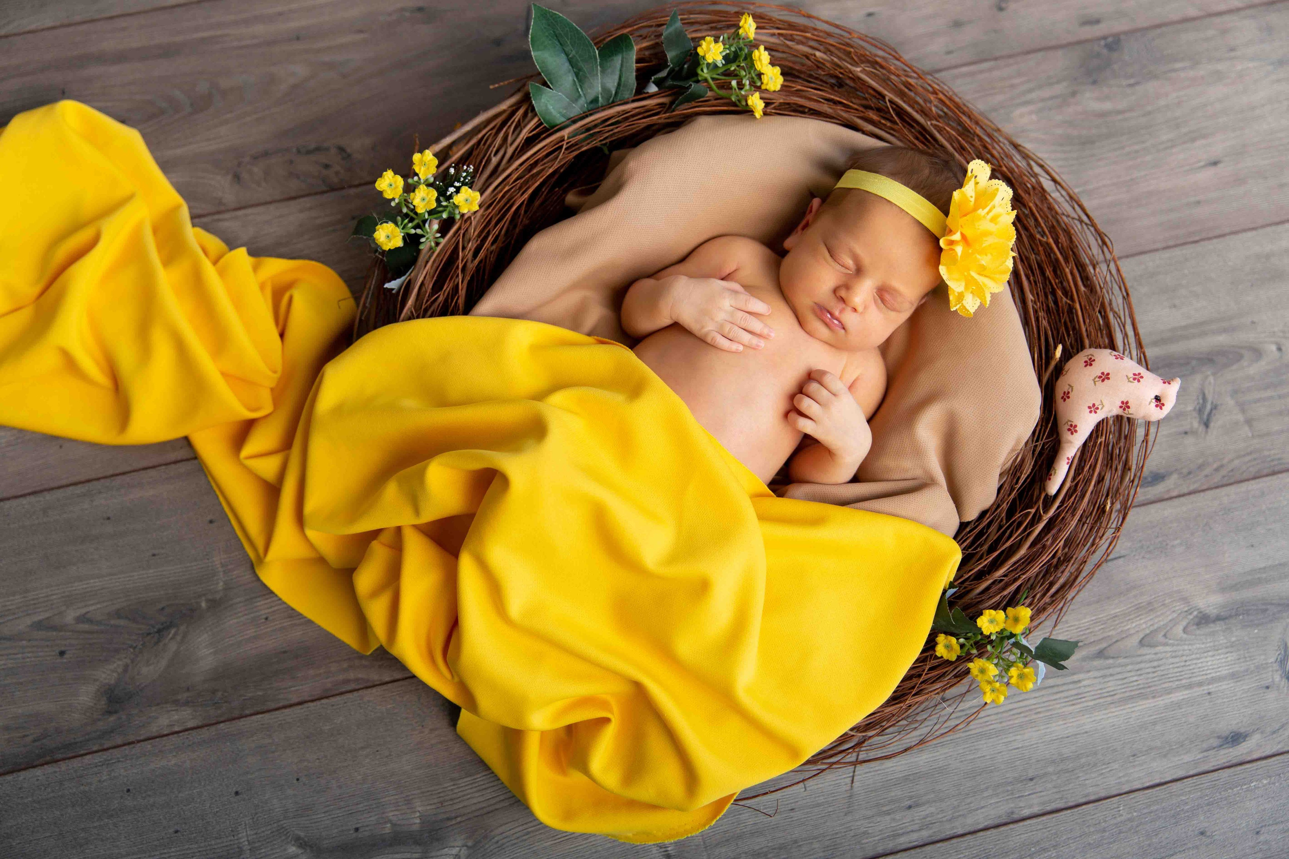 Новорожденные и младенцы. Фотостудия Алматы. Фотосъемка Алматы. Фотосессия Алматы. Фотокурсы. Обучение фотографии. Аренда студии