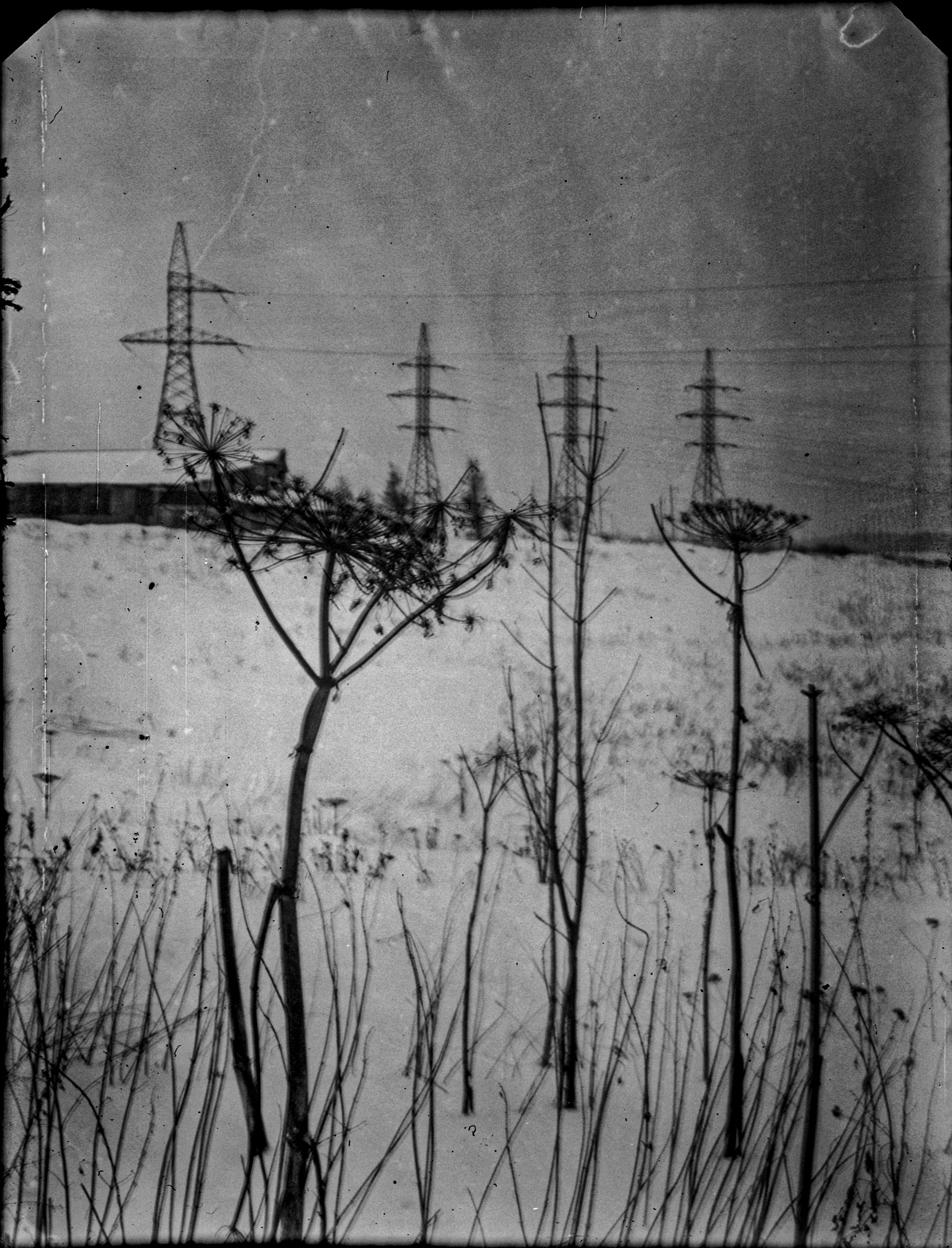 Glass plates. Darkroom aesthetics