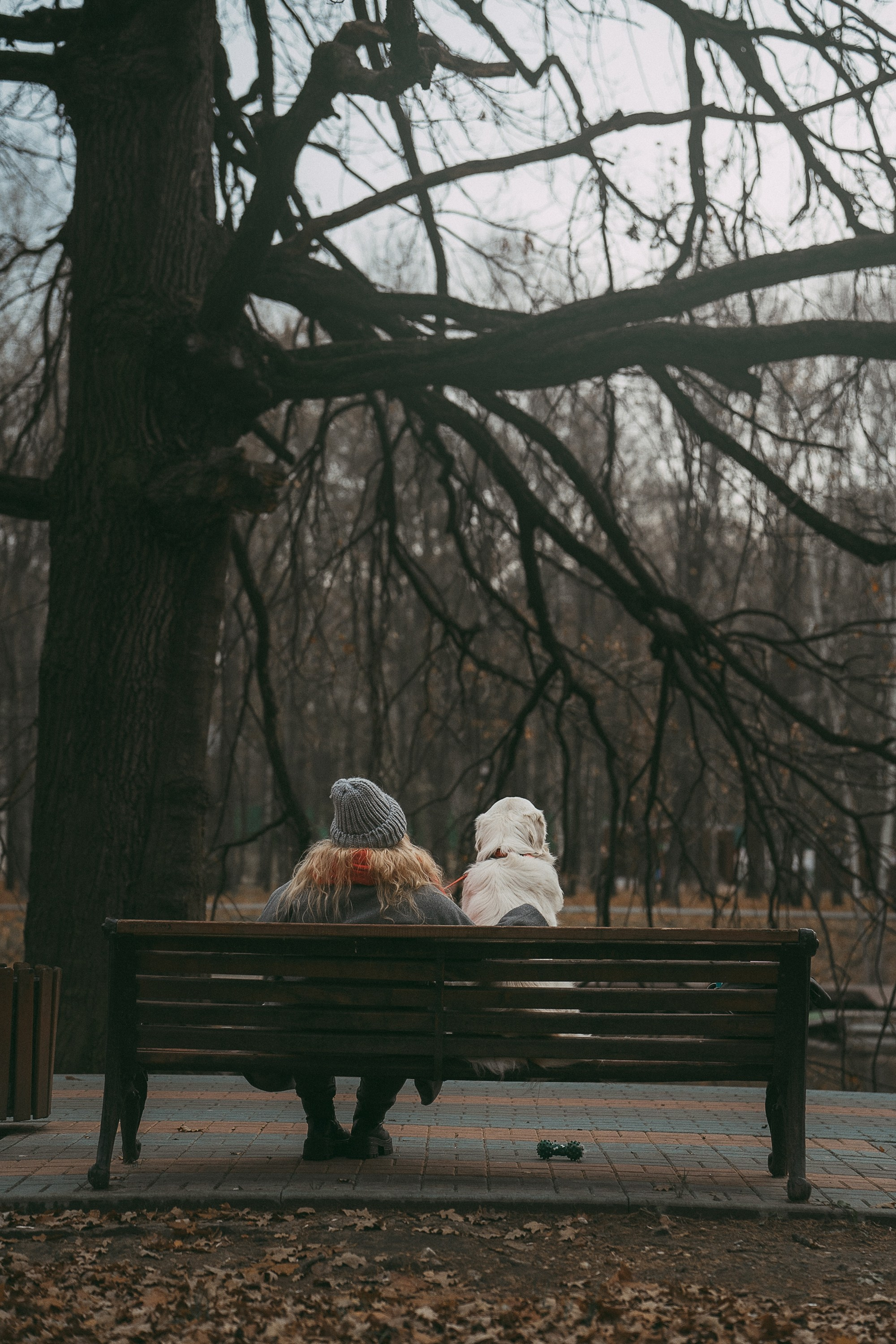 Лена и Мерлин. Фотограф анималист в Москве и Санкт-Петербурге Свиридова Анна