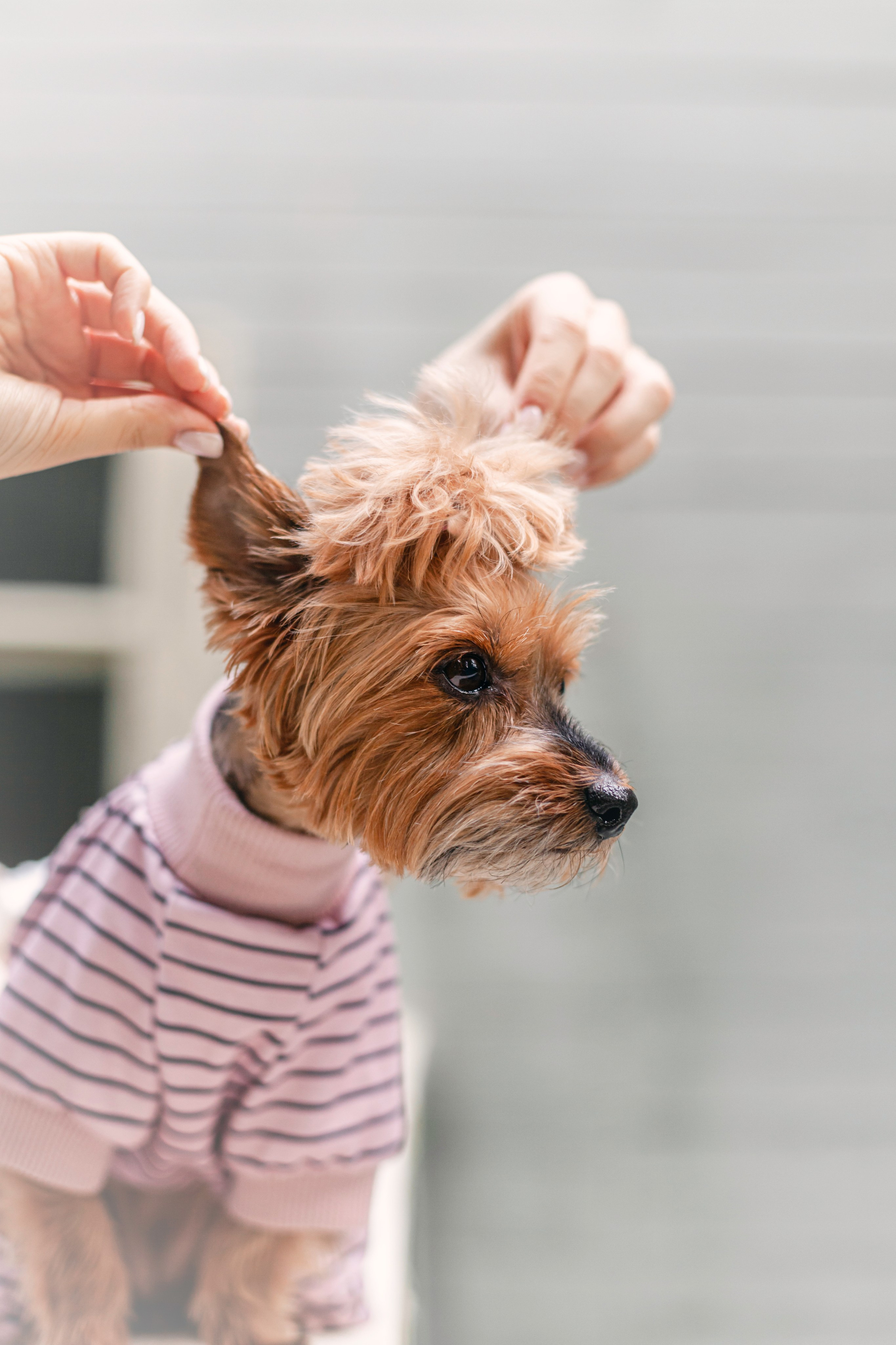 Катя и Моня. Фотограф-анималист Татьяна Степанова