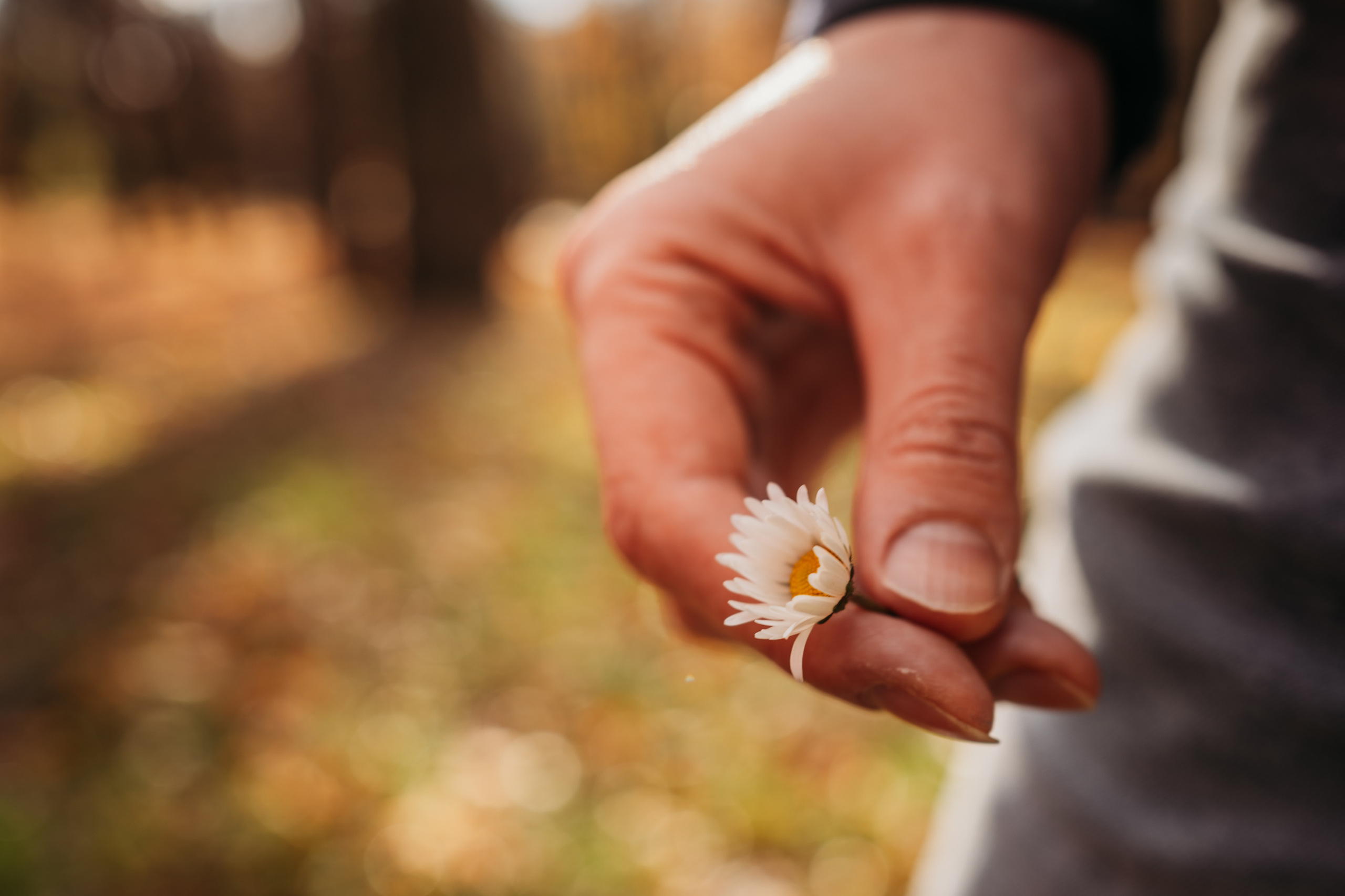 Citrus.Love. Женский, лайфстайл фотограф, минск, семейный, новорожденных, портретный