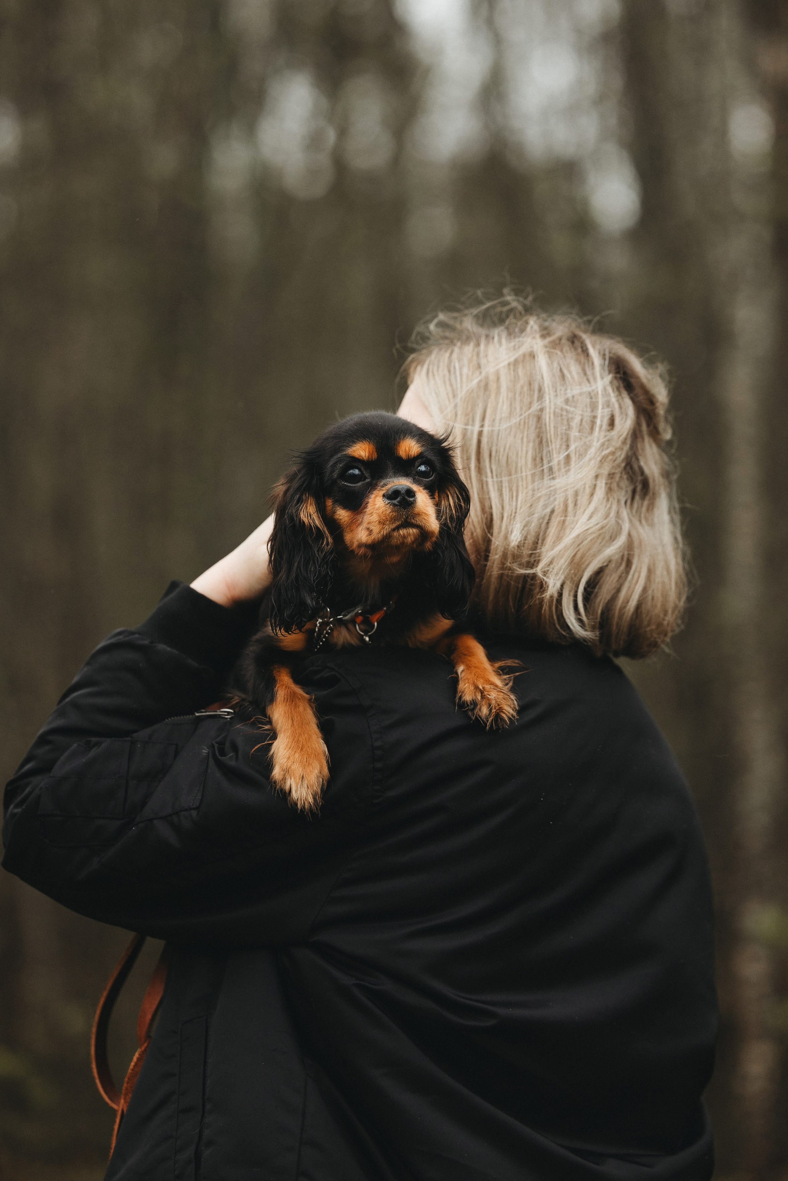 Встреча ККЧС. Фотограф анималист Осипчикова Мария