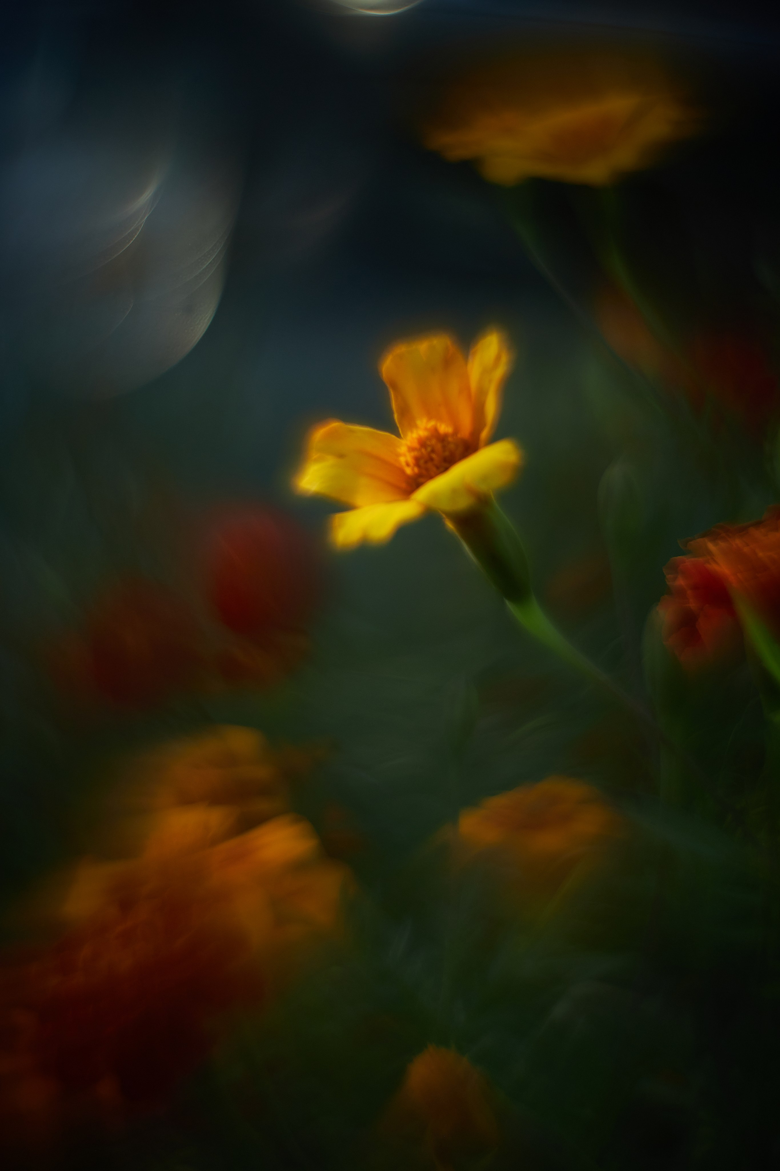 «Незримые Миры». Арт-фотограф во Владивостоке Дмитрий Осипчук