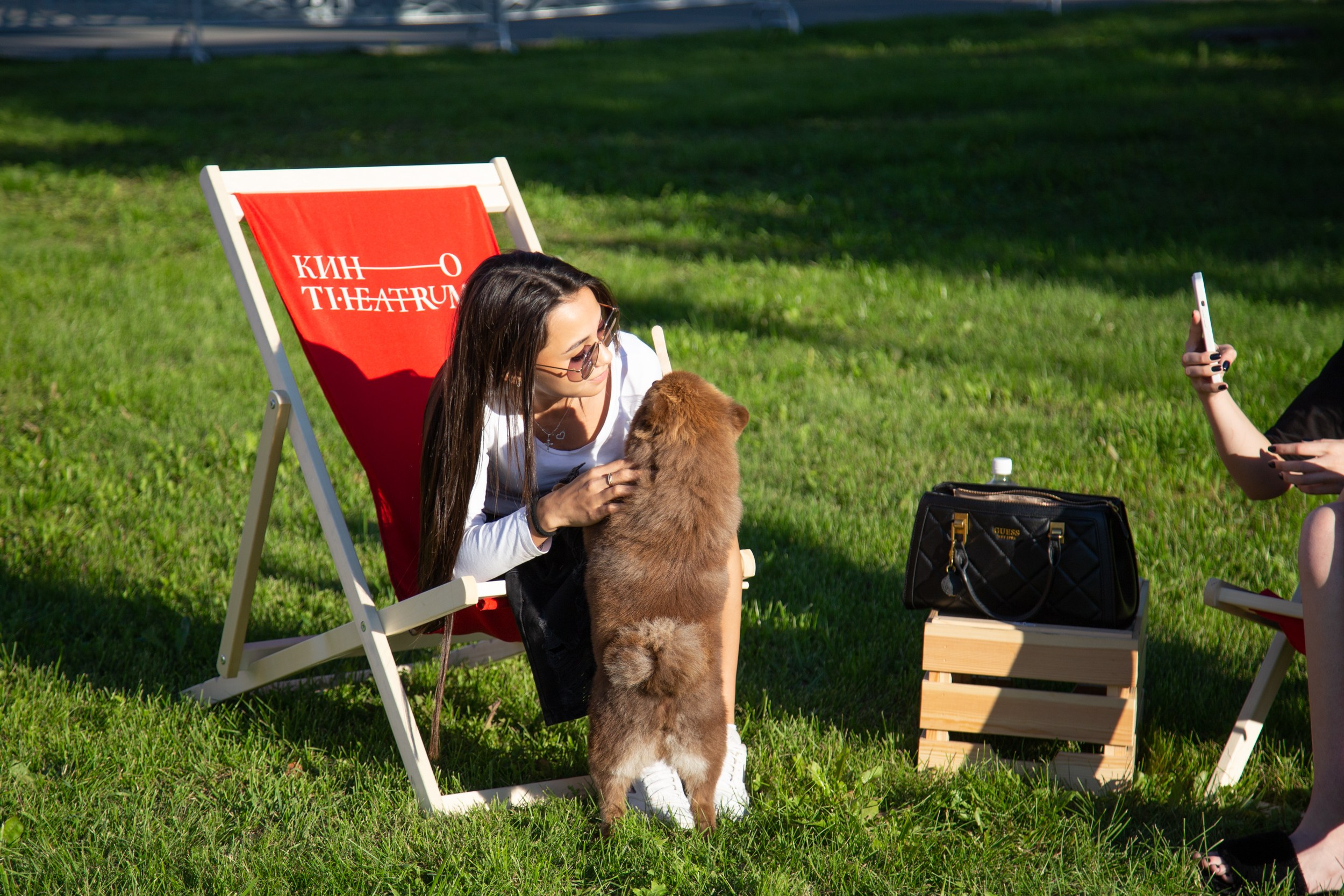 Венский фестиваль. Главная