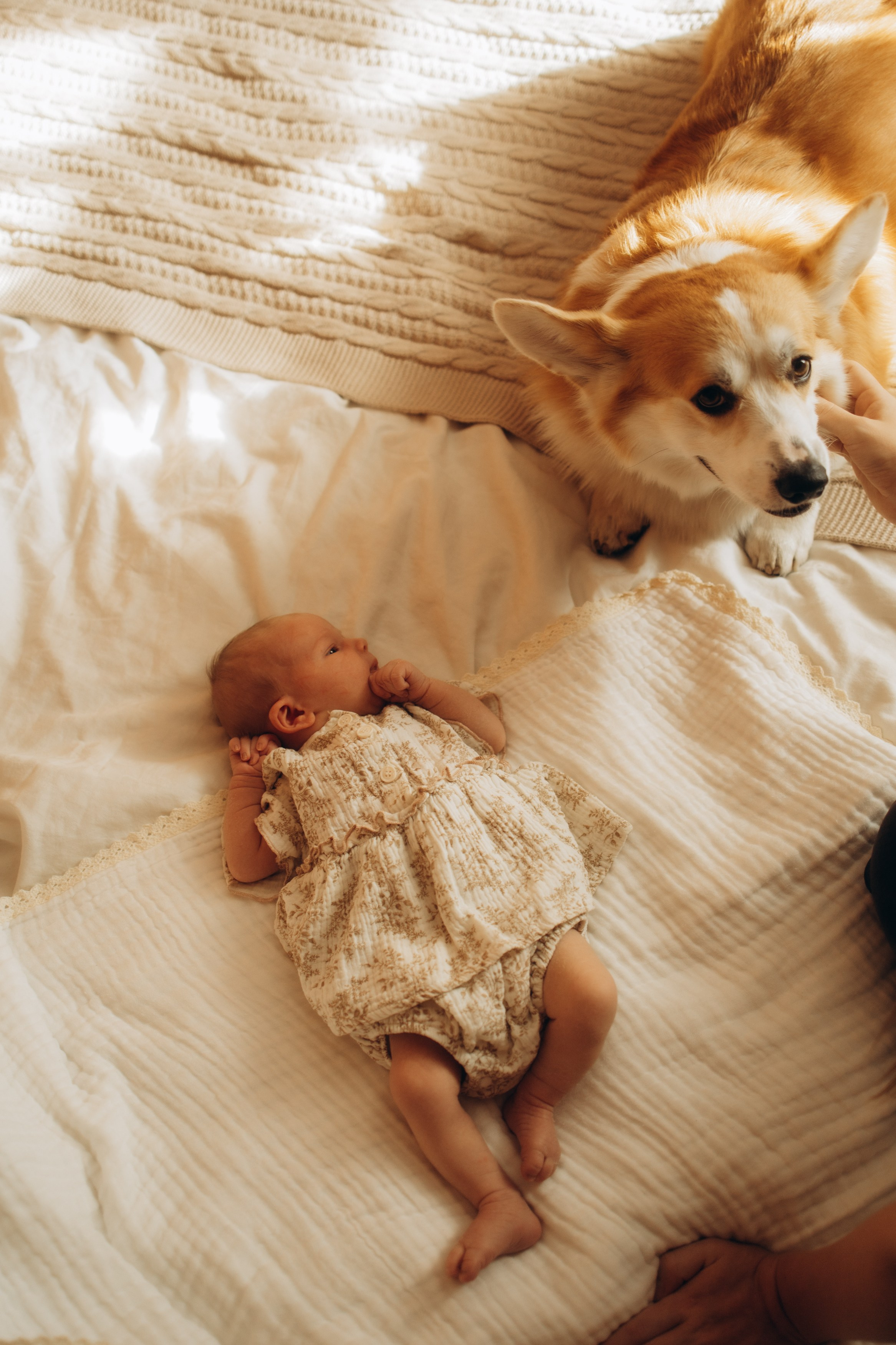 Семейный, ньюборн newborn фотограф, фотограф новорождённых в Санкт-Петербурге, Пушкине, Павловске. Павлова Анастасия