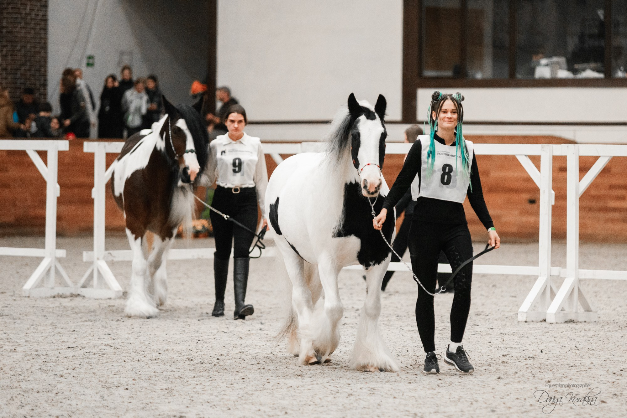8-я международная выставка Конная Россия. Конный фотограф Куракина Дарья • Фотосессии с лошадьми