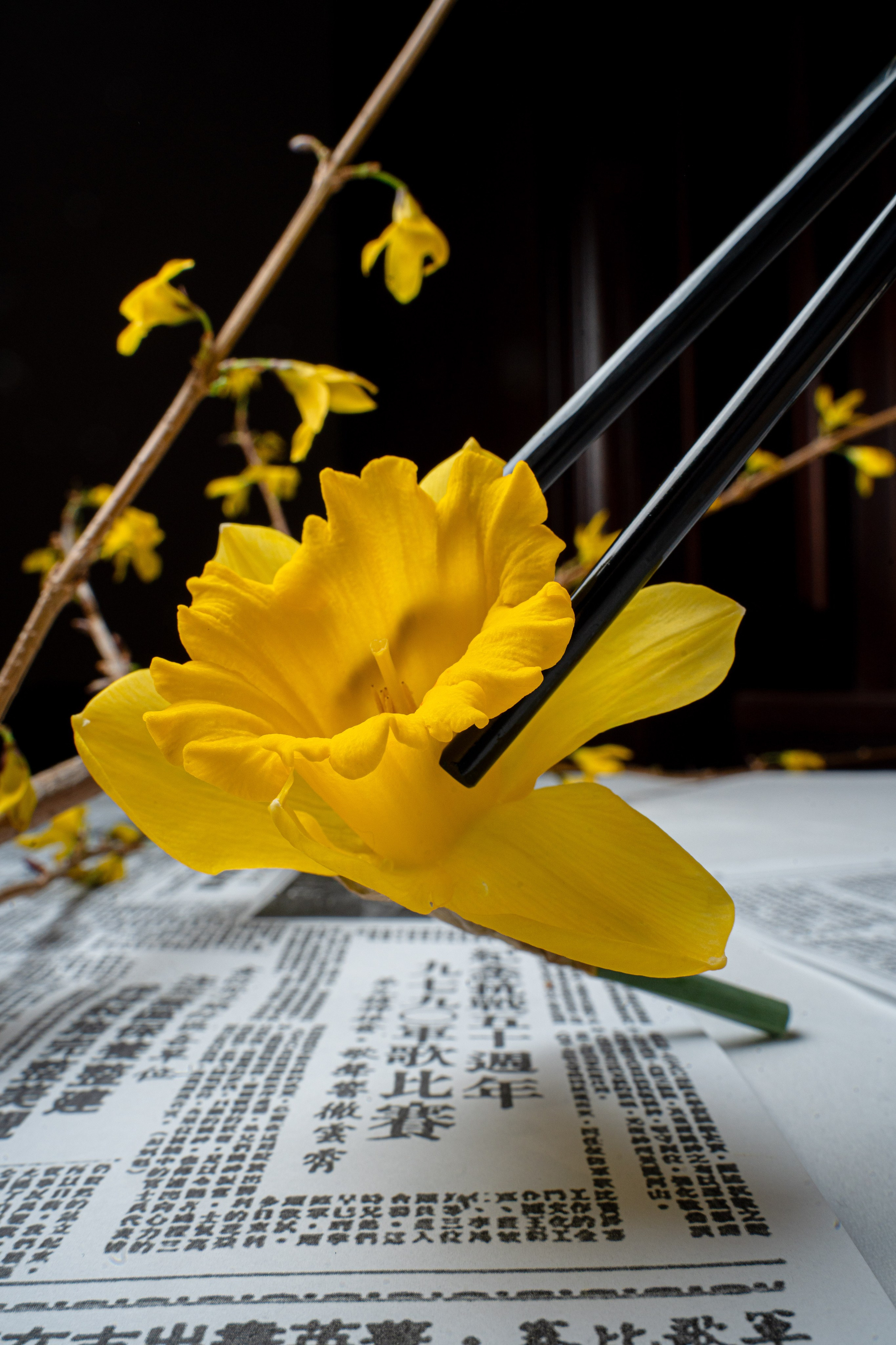 Chinatown. Автор визуальных концепций и имиджевых съёмок Brand Visual Direction