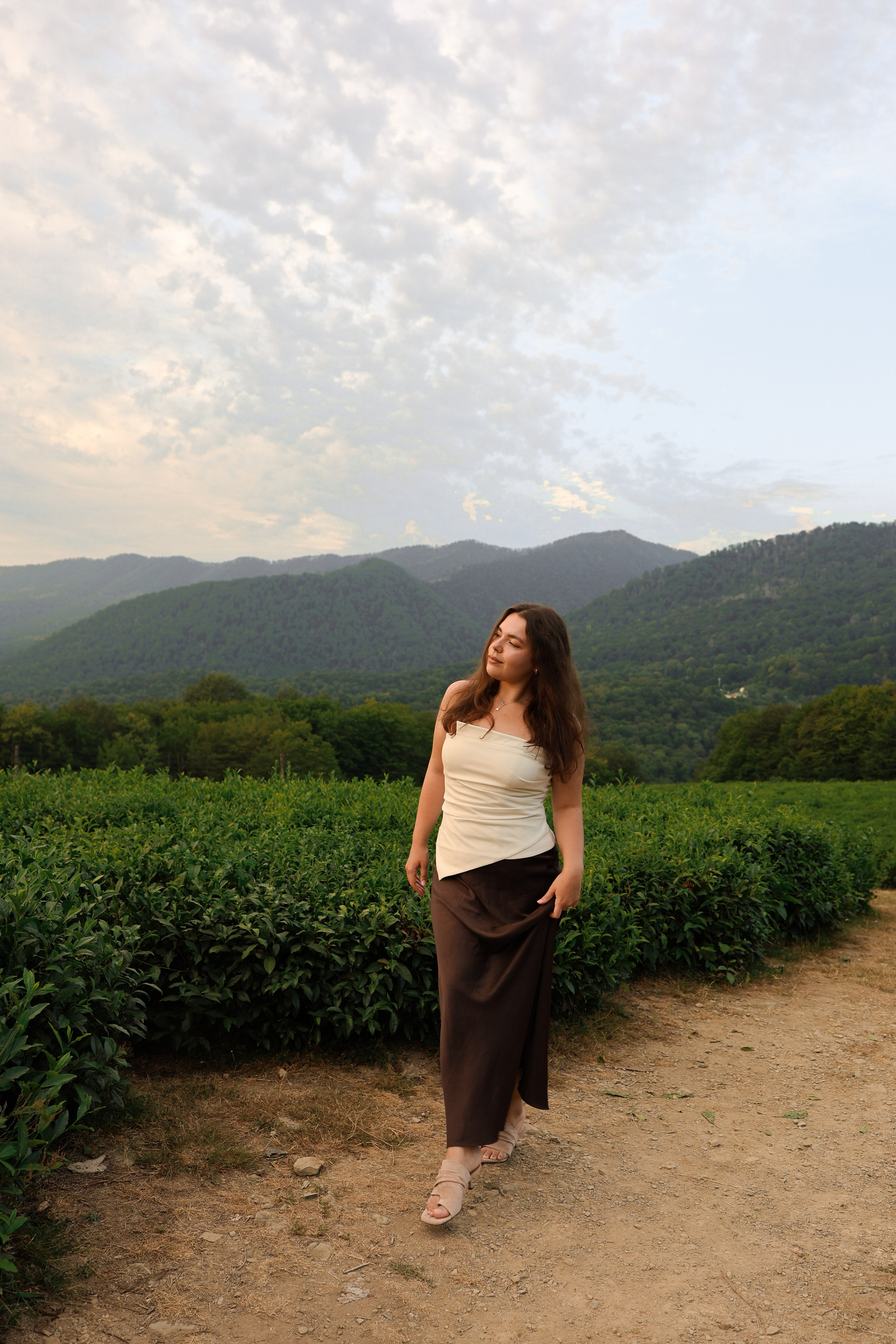 ЧАЙНЫЕ ПЛАНТАЦИИ. Фотограф Москва Оля Олбимак