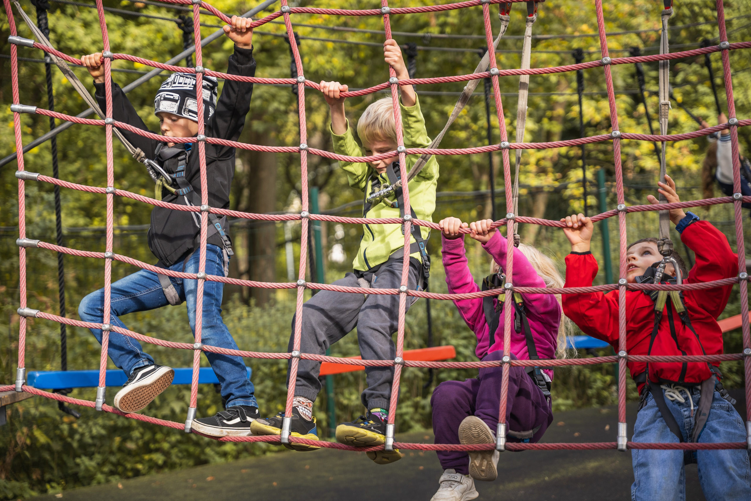 День рождения Андрей. Главная