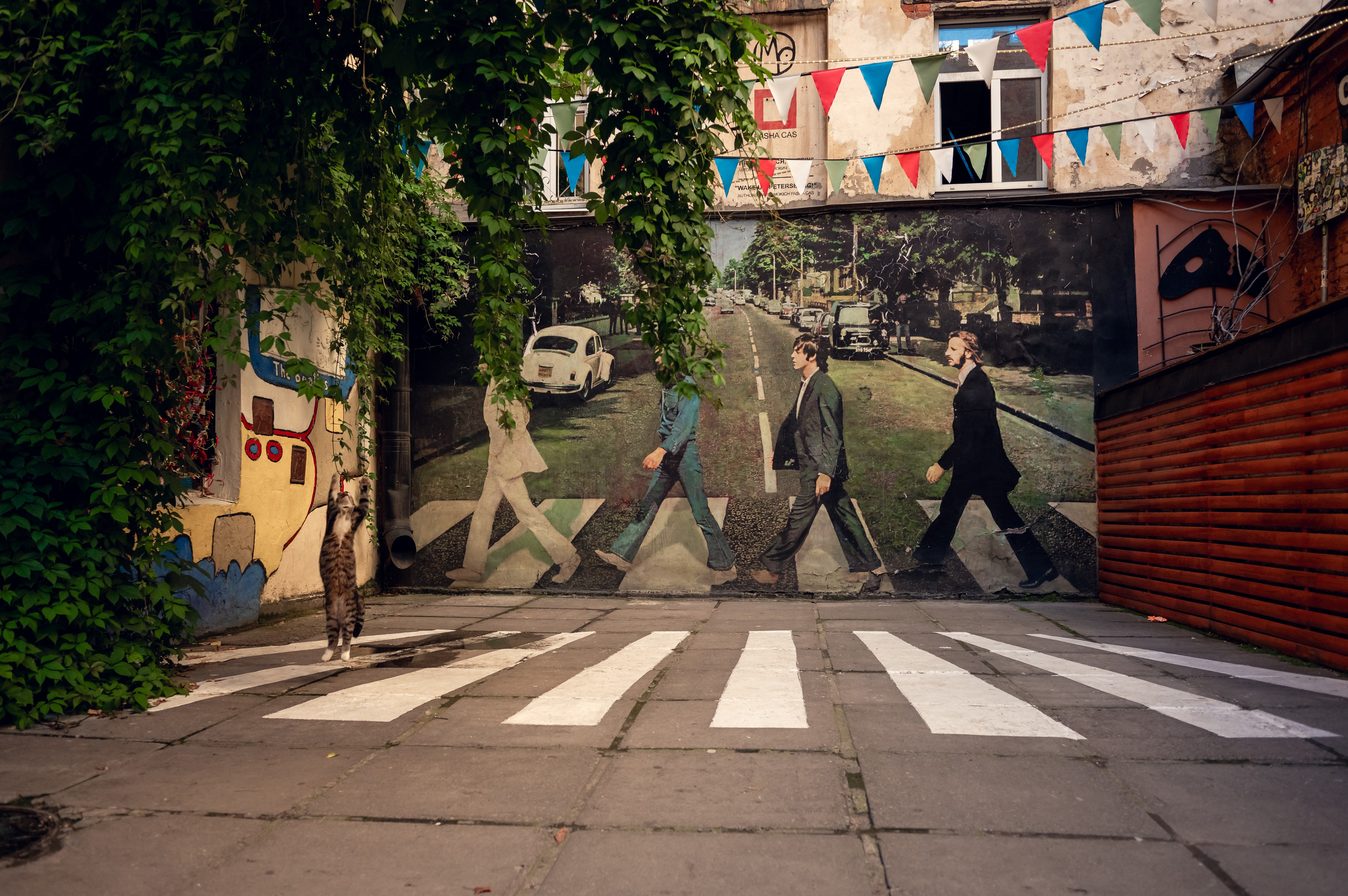 Питер. Фотограф Крещение Венчание Москва