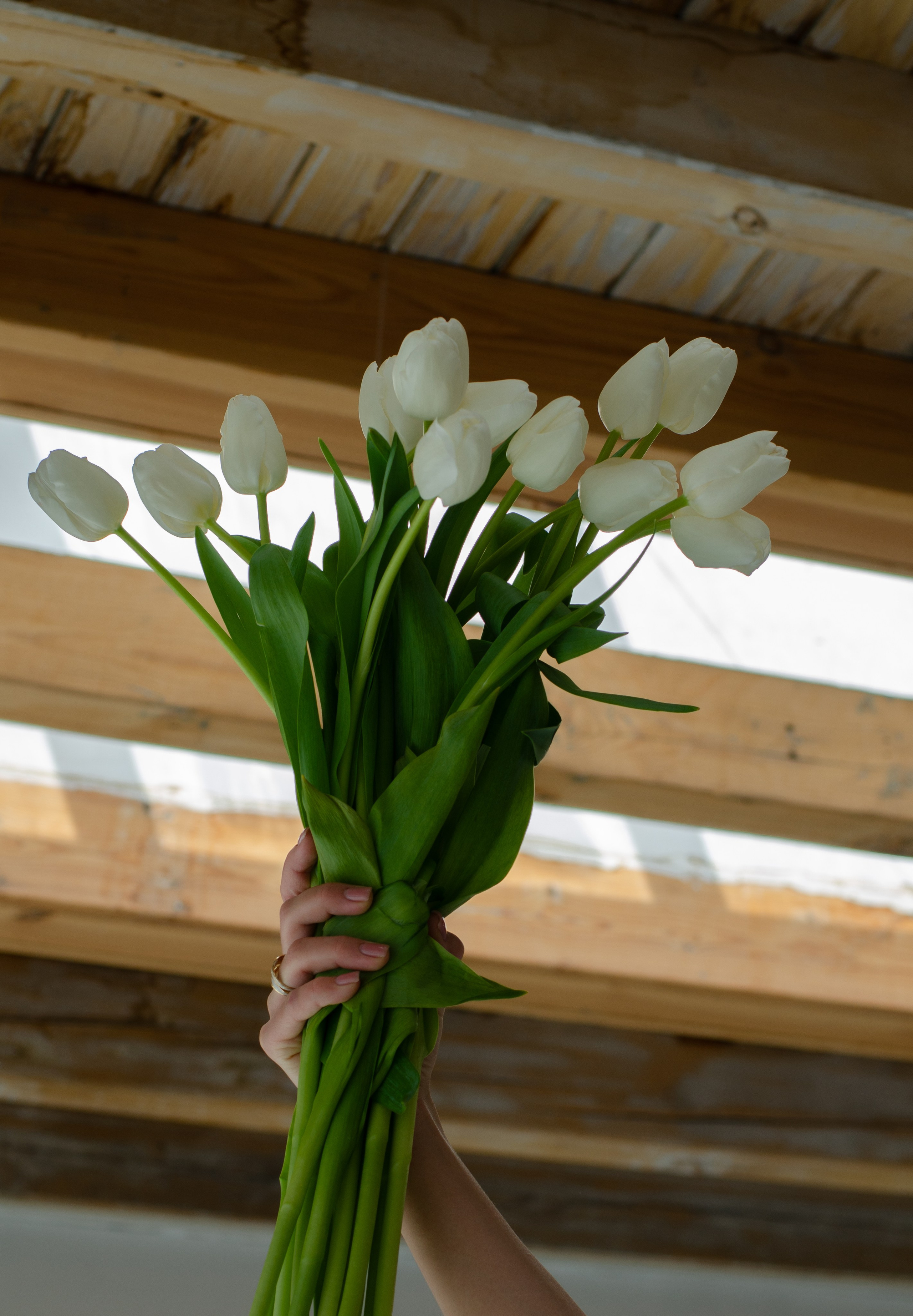 Евгения, тюльпаны. Фотограф Челябинск Ирина Ермоленко