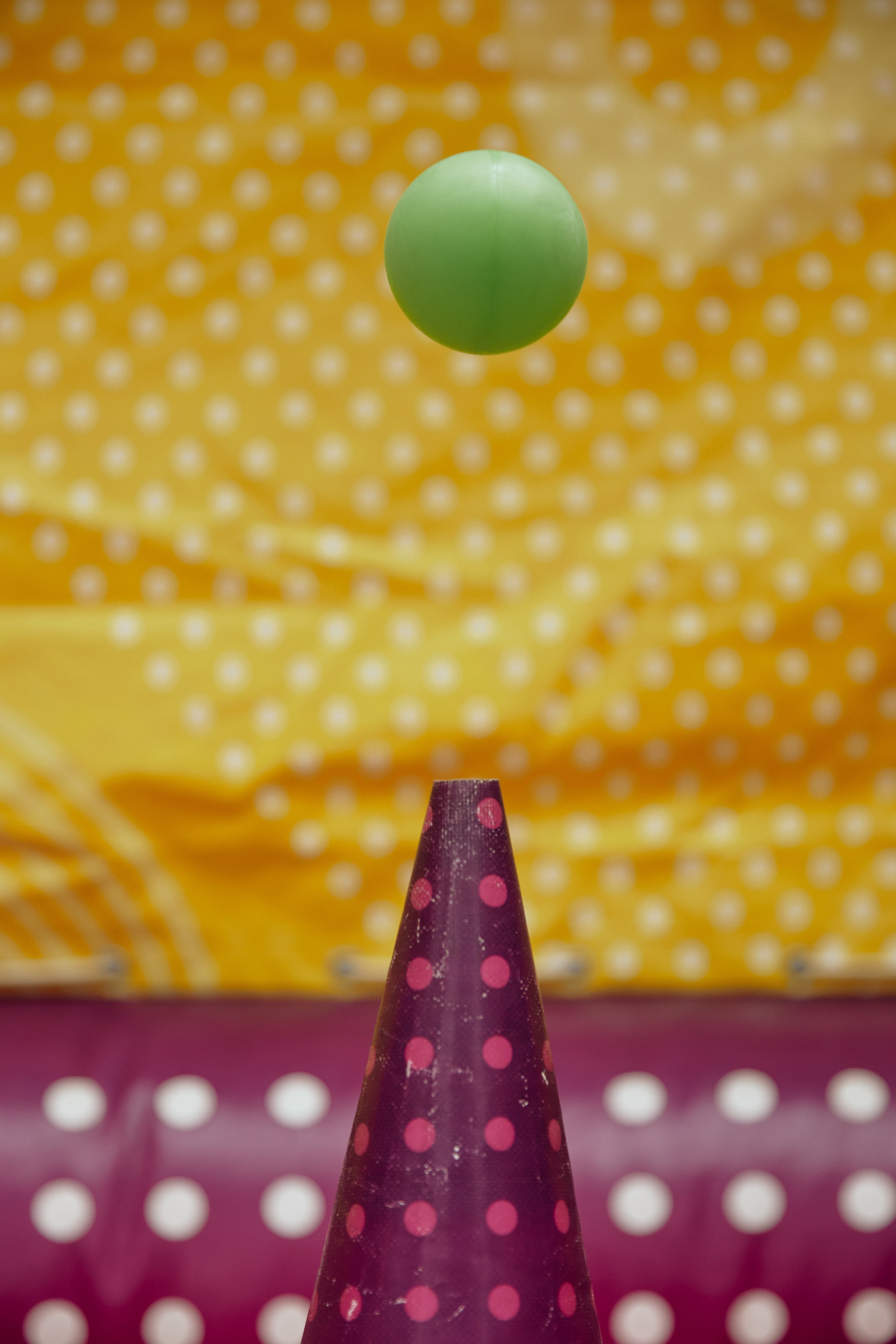 AVLN TEN YEARS. Дмитрий Мазуркевич: Профессиональный Репортажный Фотограф