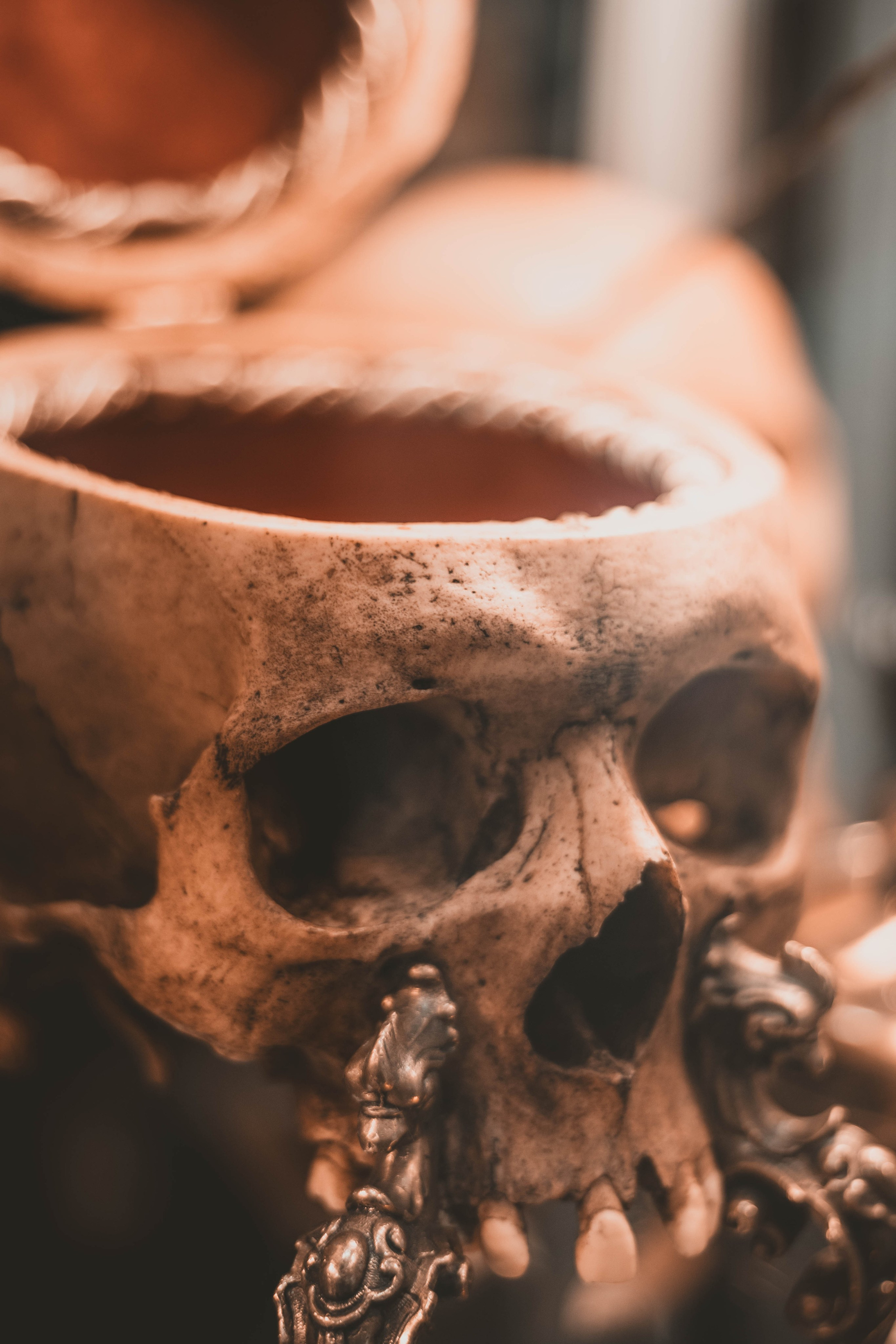 Выставка "Клинок". Фотограф и кожевник Кирилл Удалов