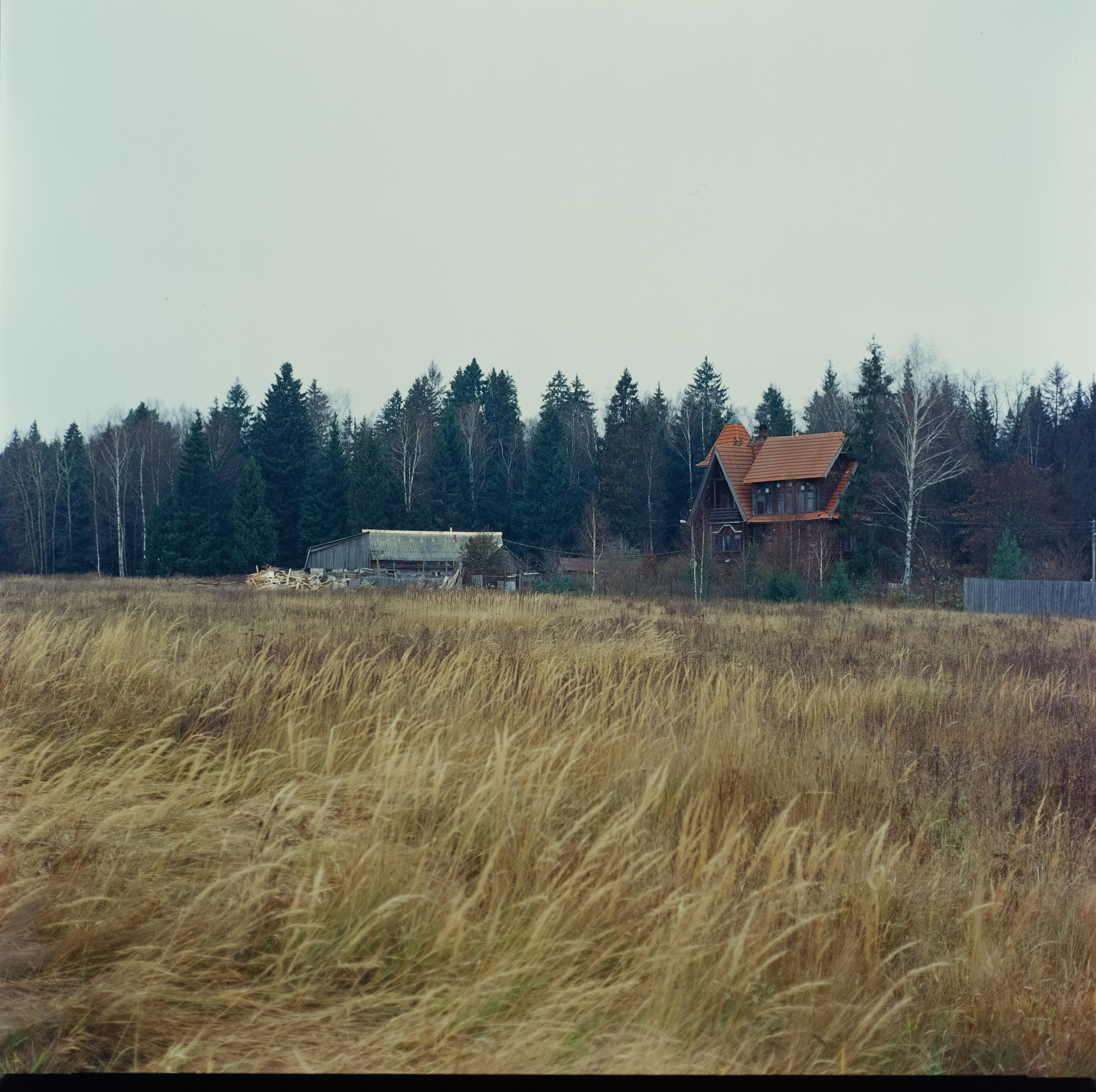 Kowa Super 66 / Kowa 85 mm f2.8 + Kowa 55 mm f3.5 / Kodak Ektachrome E