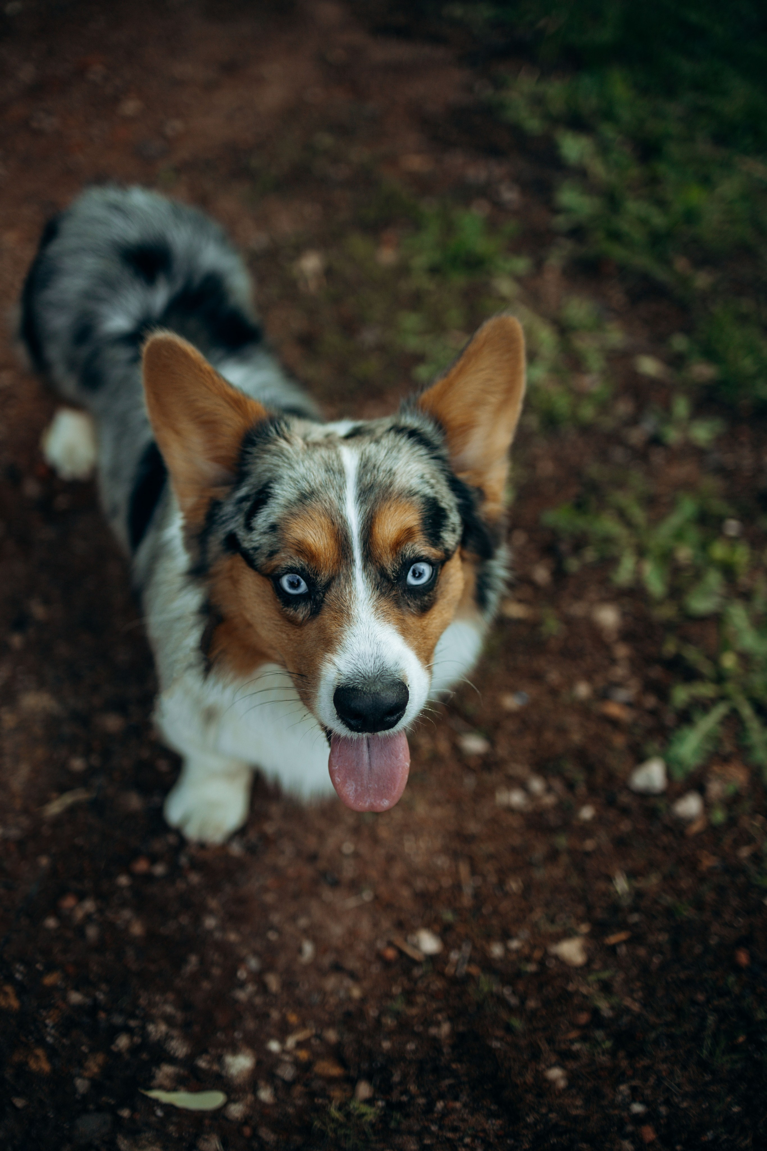 Евгения и Грей