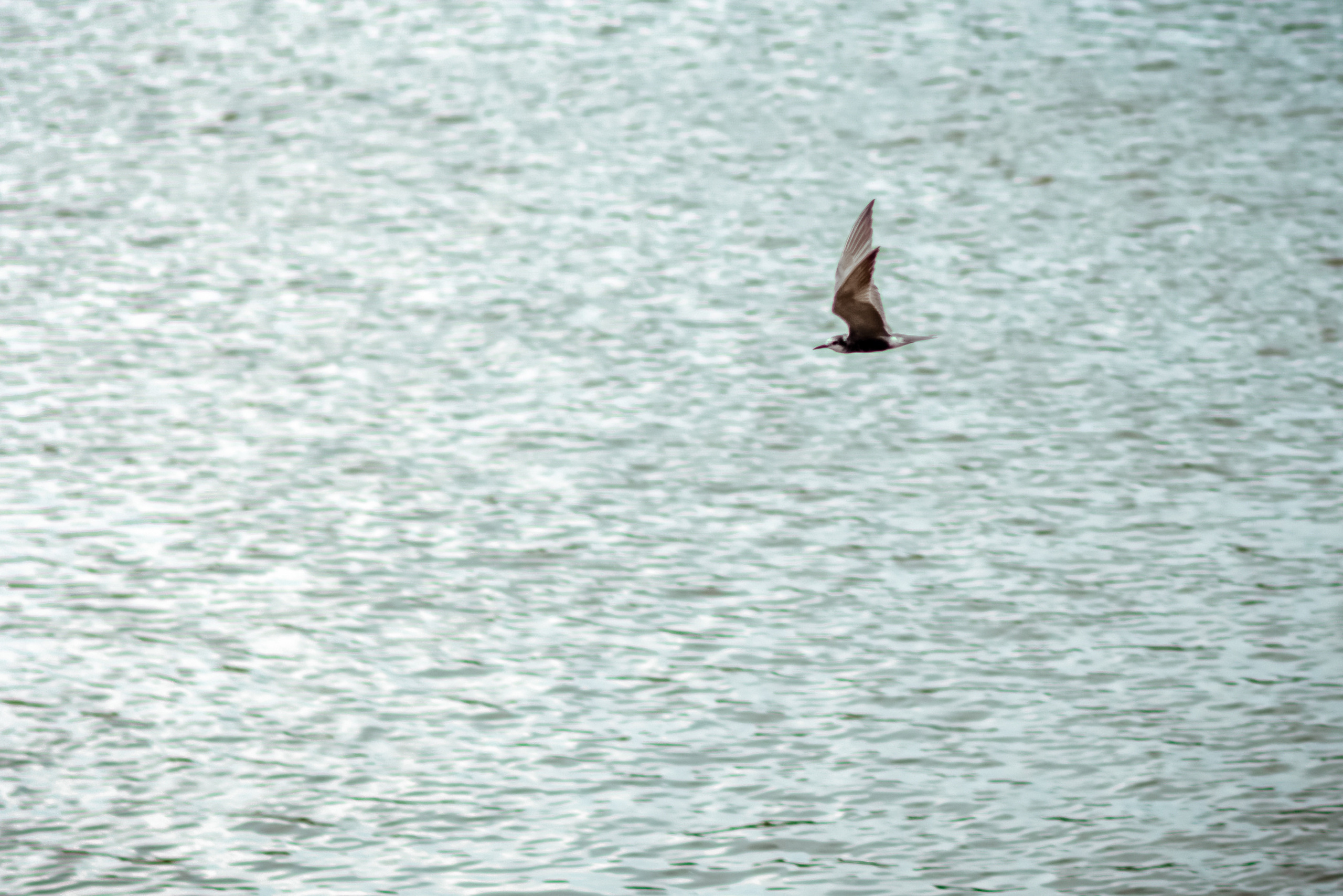 Утро Ирины. Семейный и детский фотограф в Нижнем Новгороде Елена Мамонова