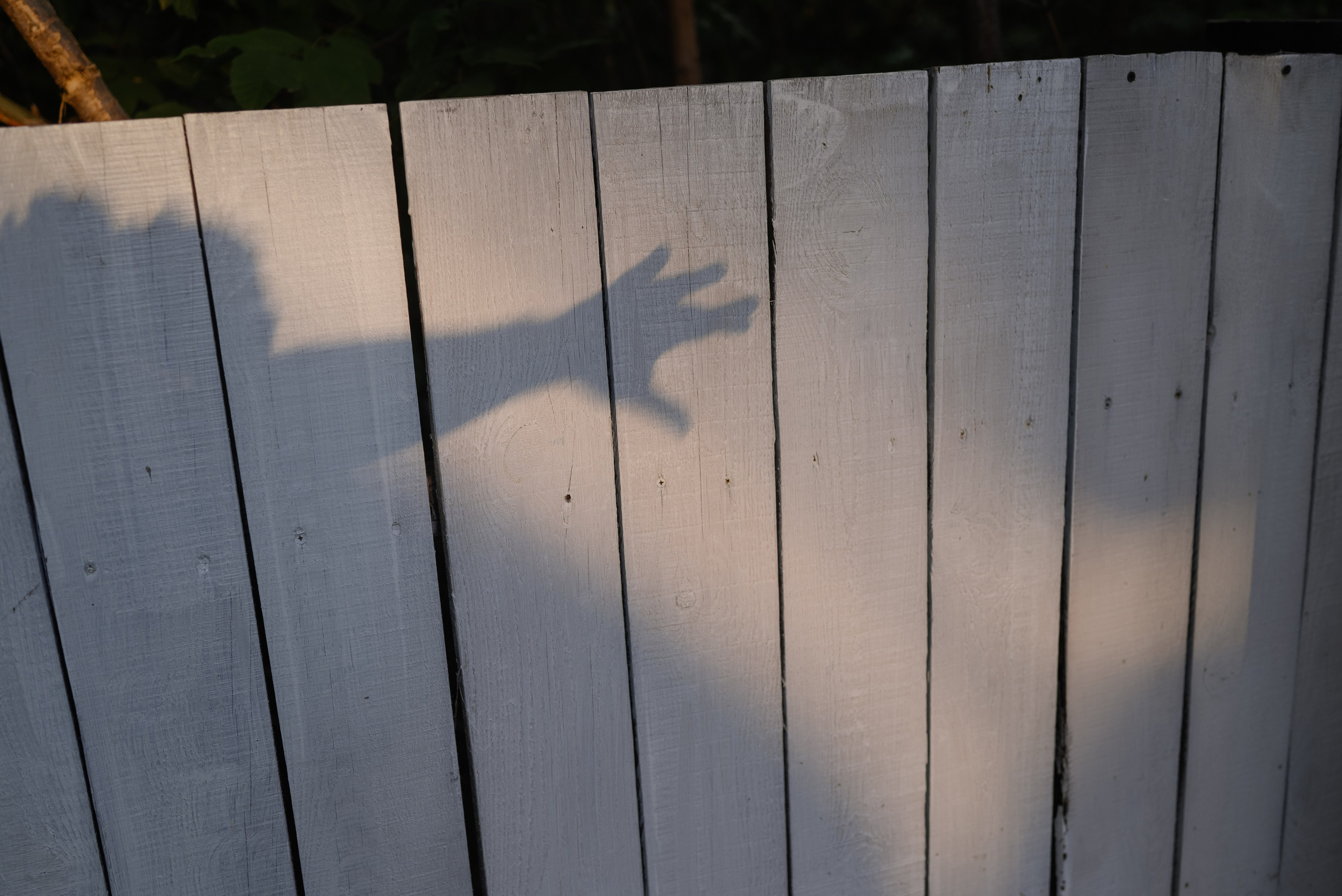 Дмитрий и Ксения. Фотограф Филякин Константин