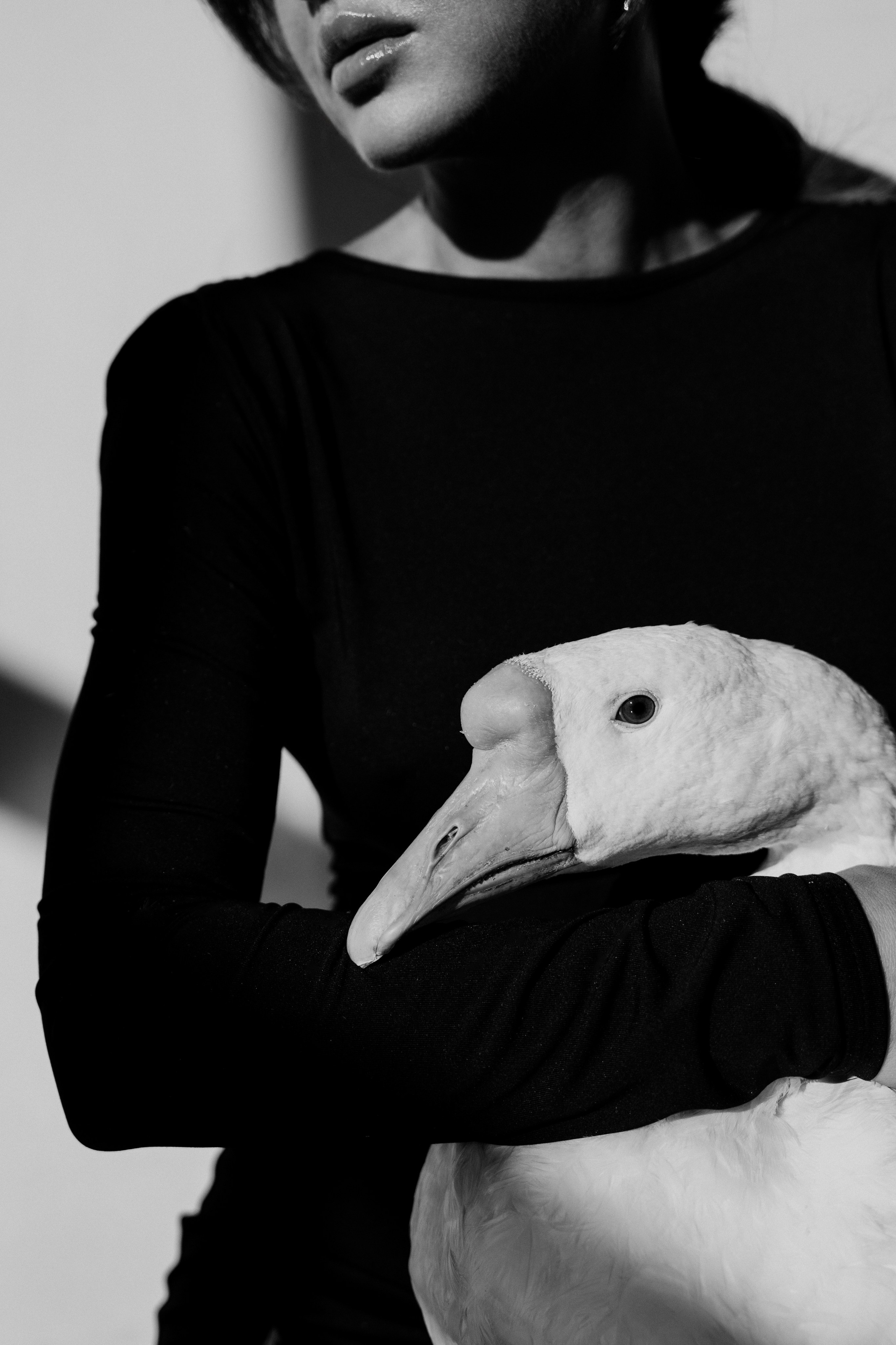 Юля и Гусь. Фотограф на мероприятие