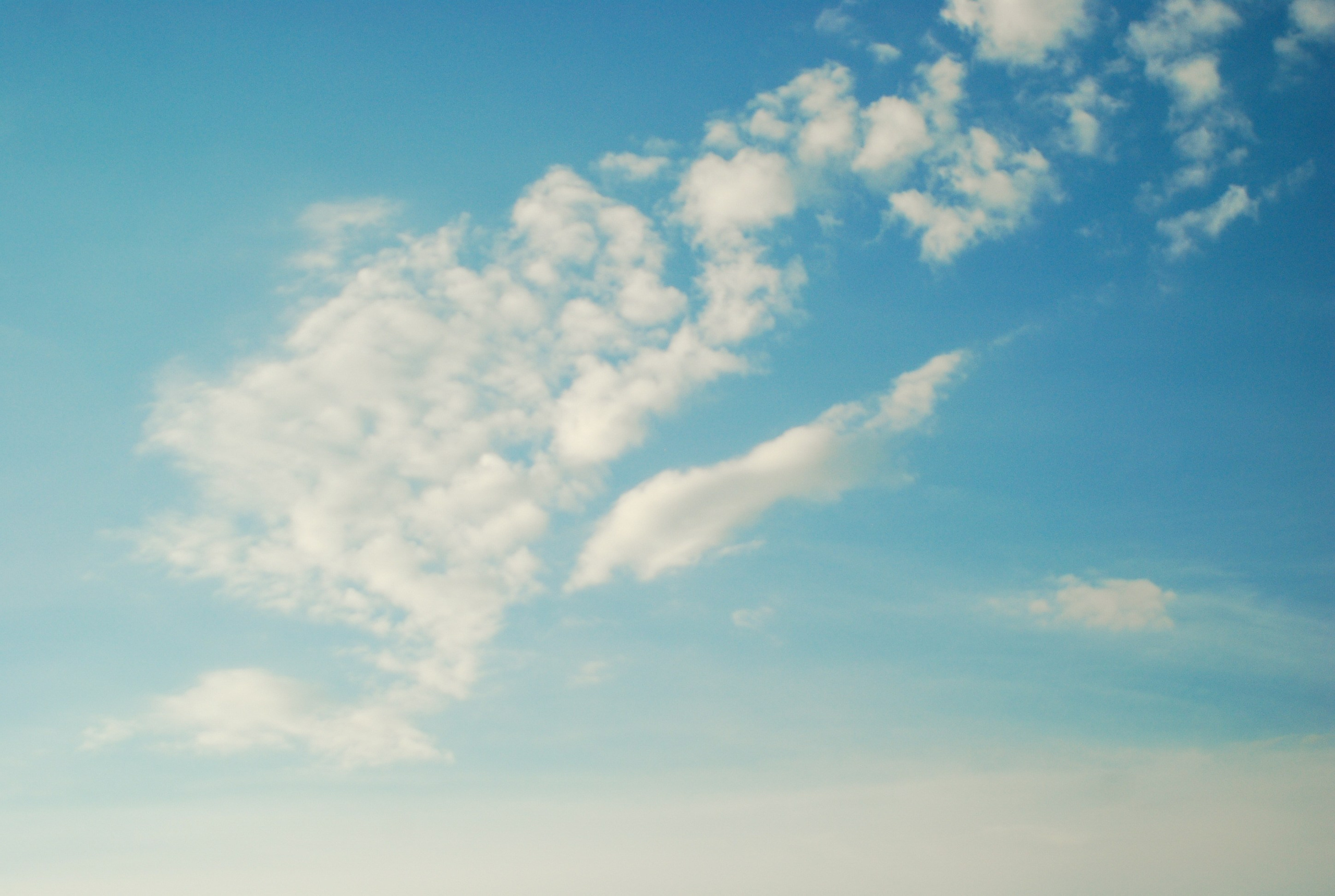 Этот прекрасный мир