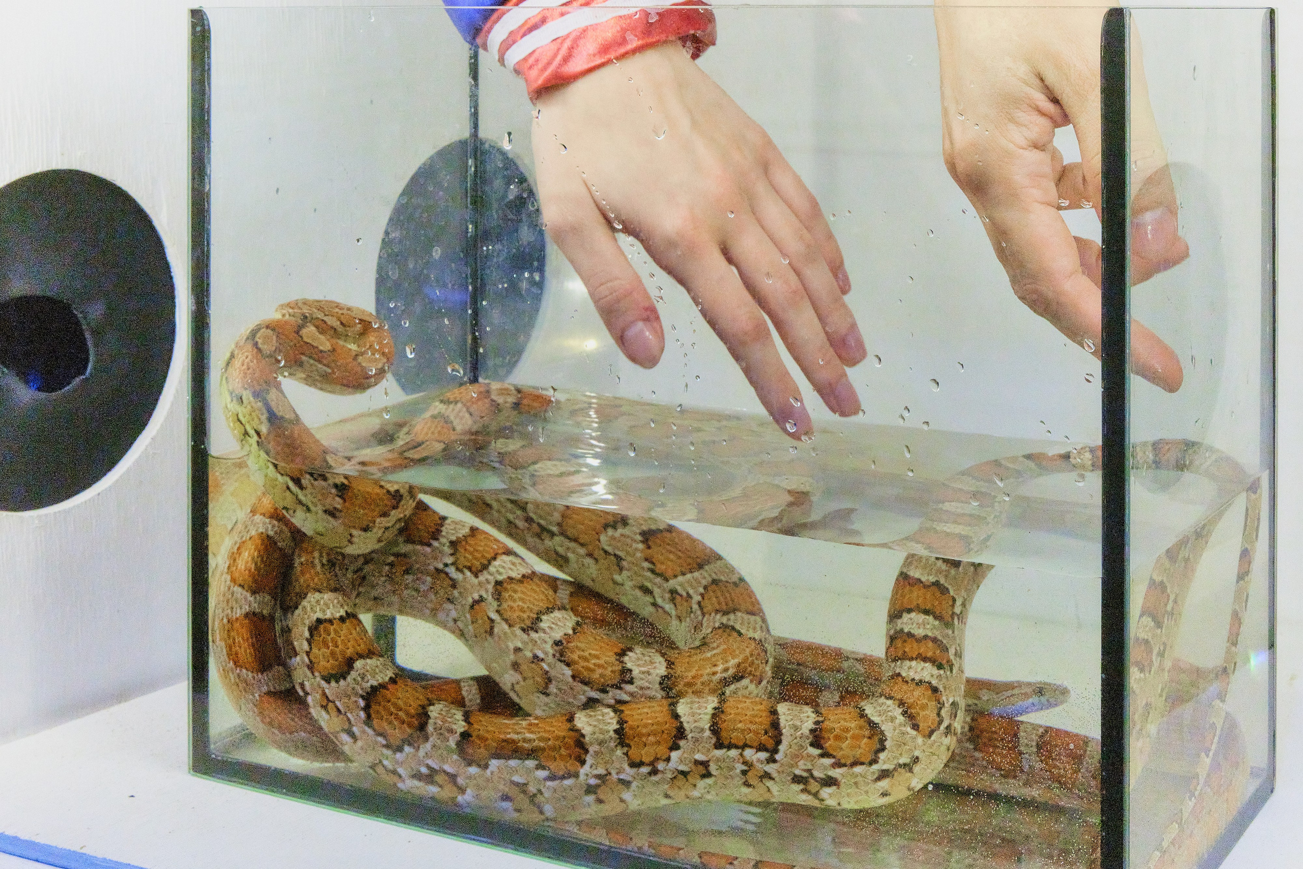 Вечеринка в Hell Smoke. Профессиональный фотограф, Москва | Елена Павлова