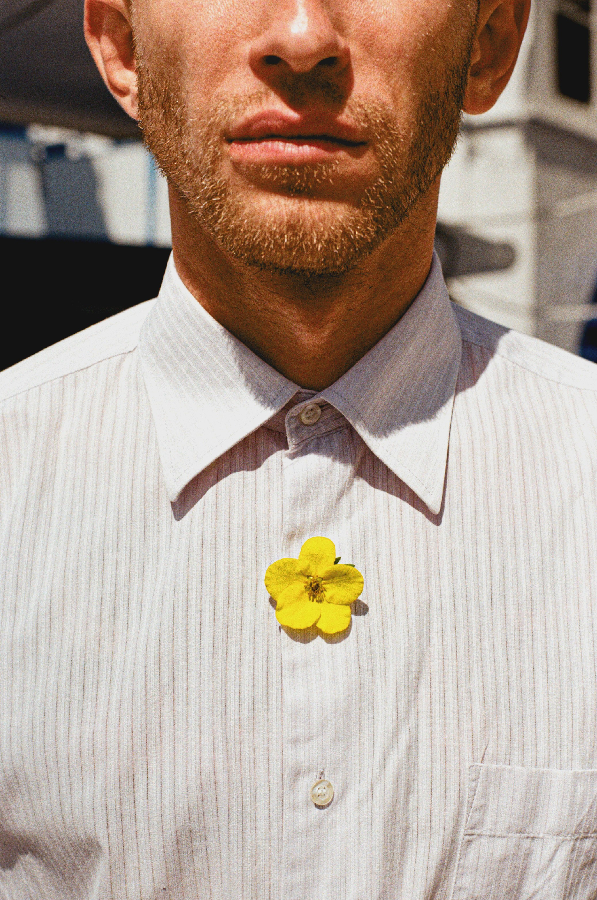 Film photos. VLAD TKACHISHIN