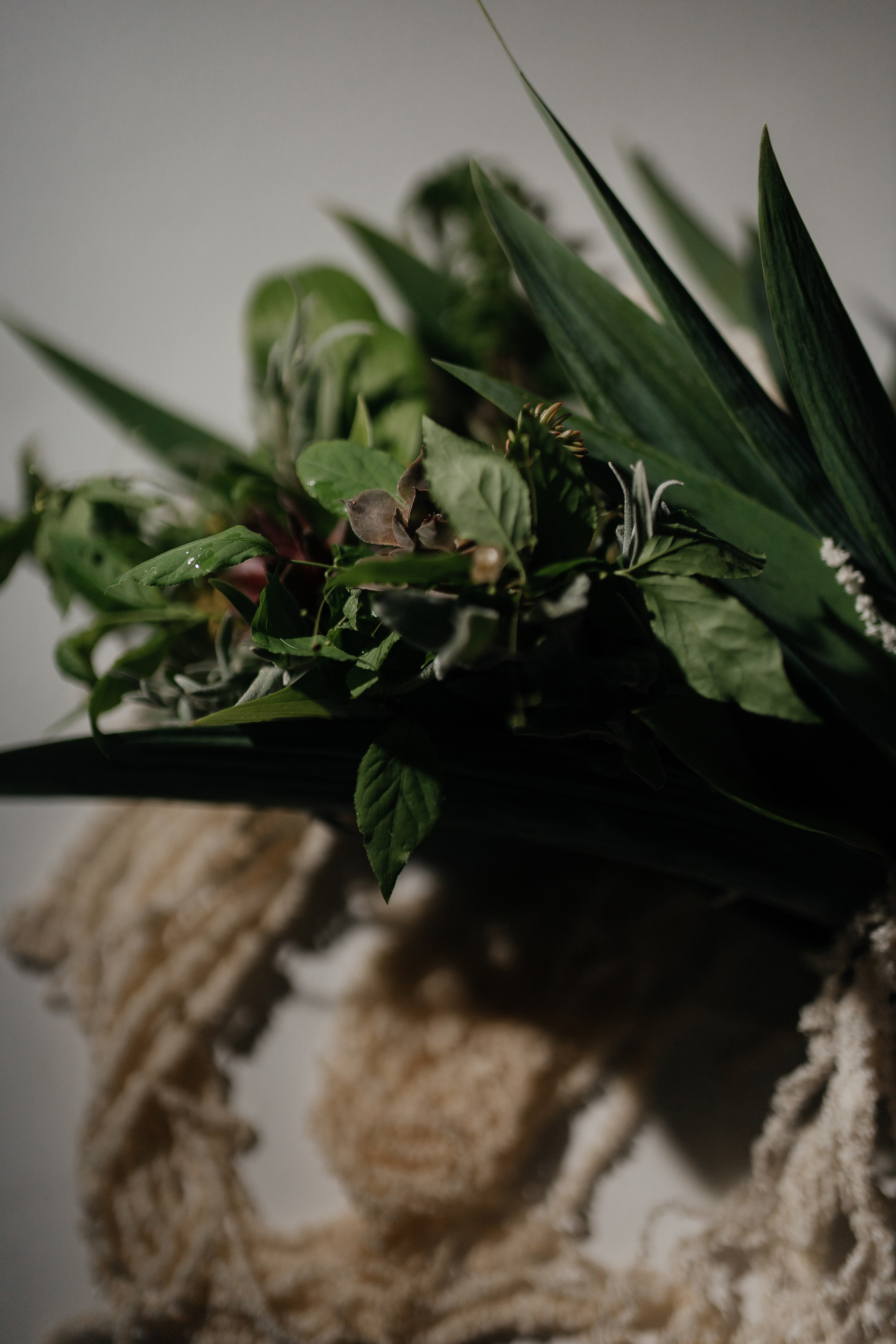 Алина и Александр. Семейный фотограф Губкин/Старый Оскол