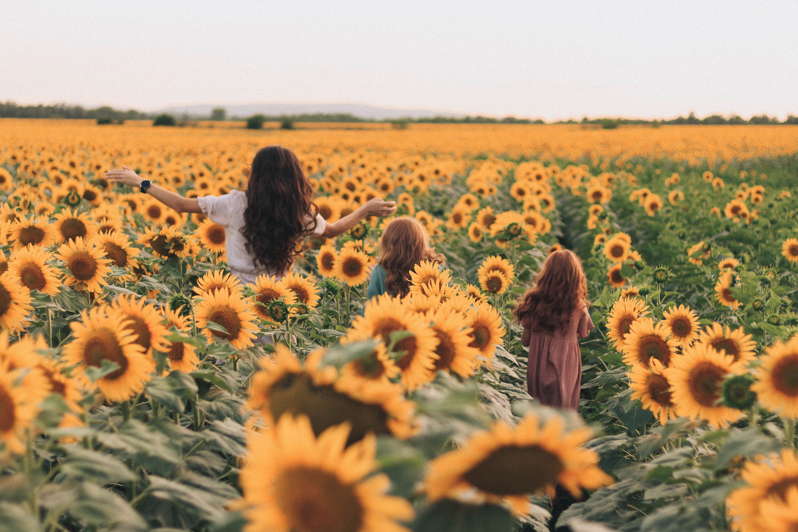 В подсолнухах. Фотограф в Краснодаре Ксения Мархинина