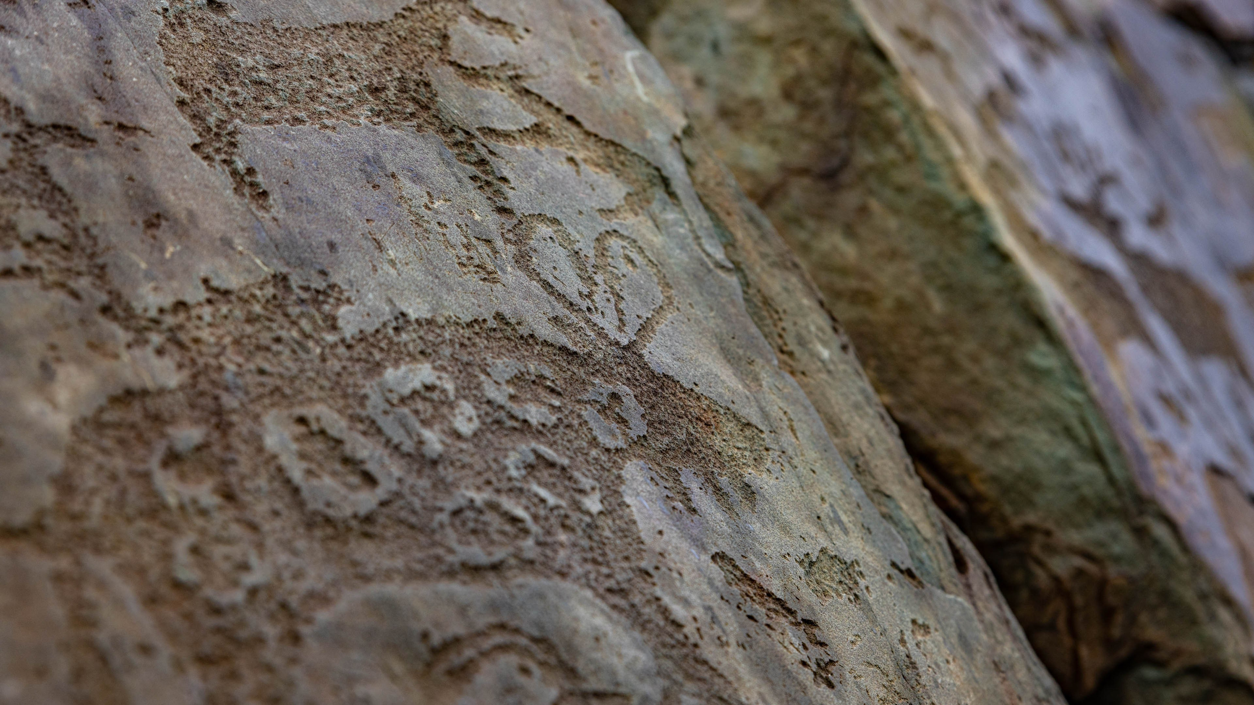 2025 09 Алтай. Чуйский тракт. Фотографии