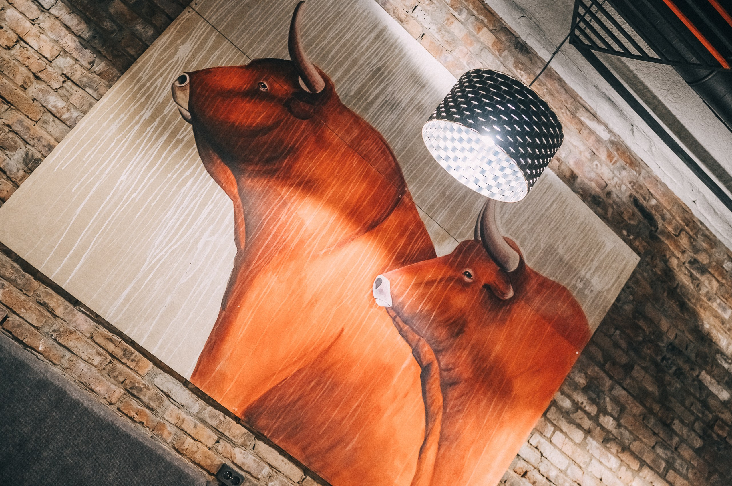 Открытие Жадины Гавядины. Фотограф в Кемерово Владислав Шульц