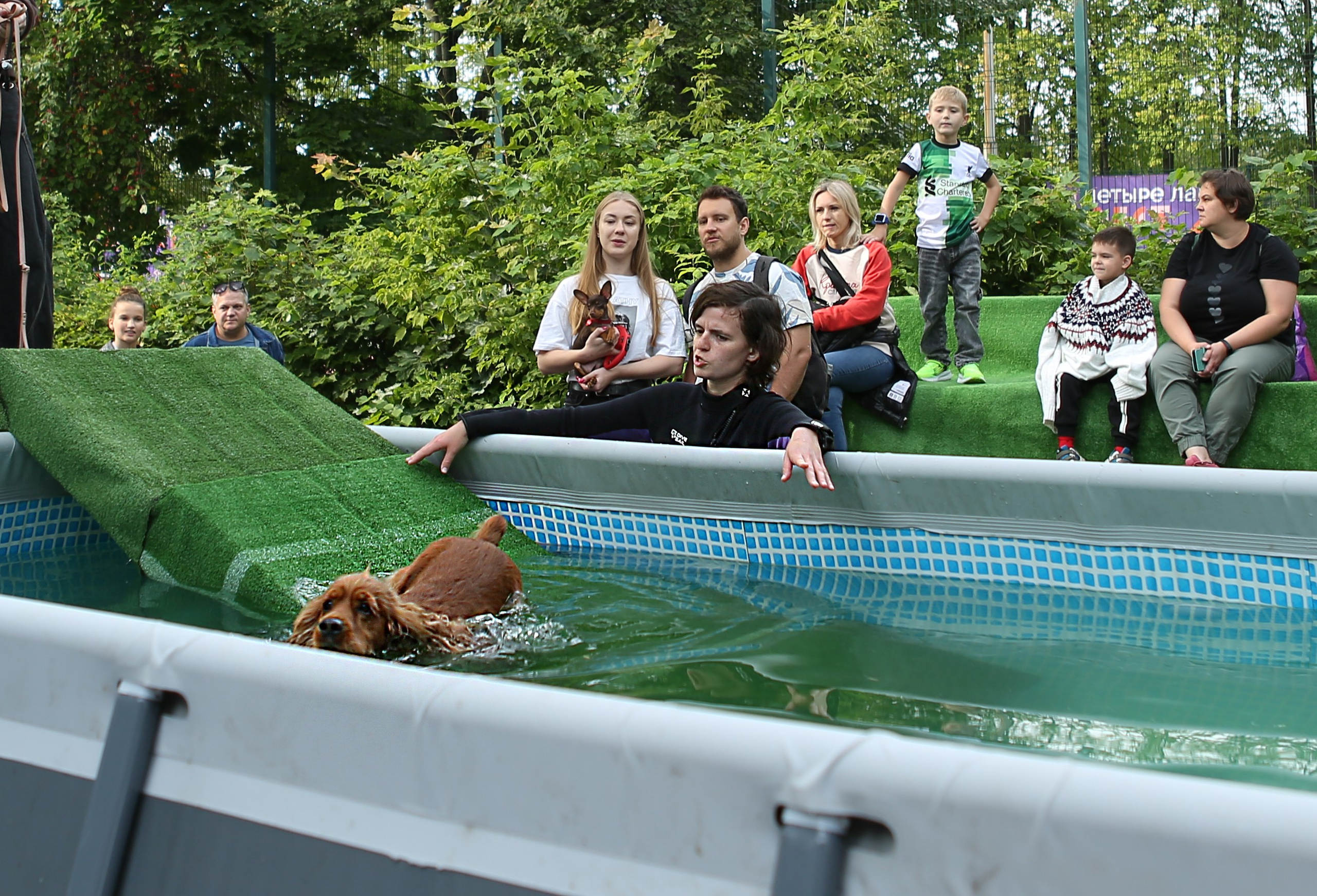 4 лапы фест Измайлово 2025