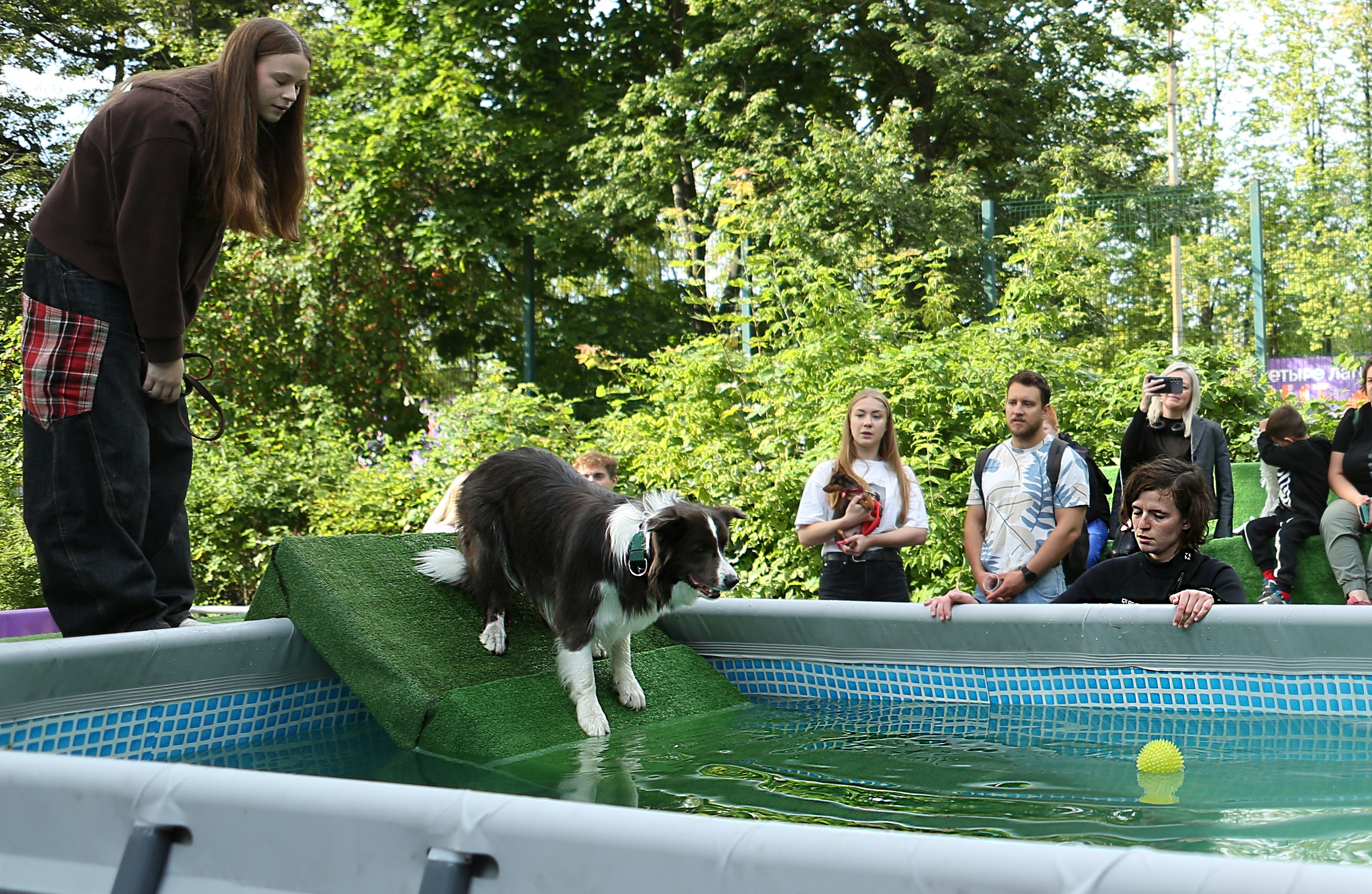 4 лапы фест Измайлово 2025