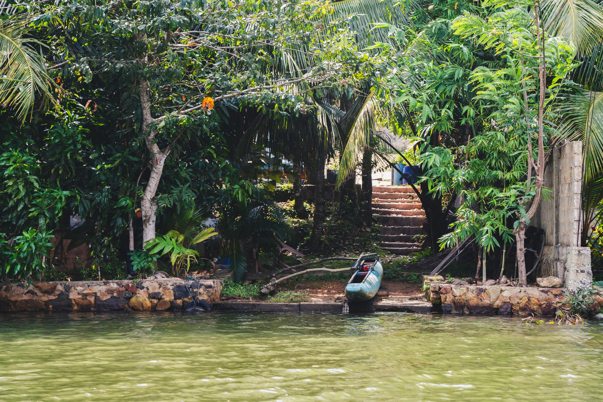 Шри-Ланка 2025. Легкая фотография