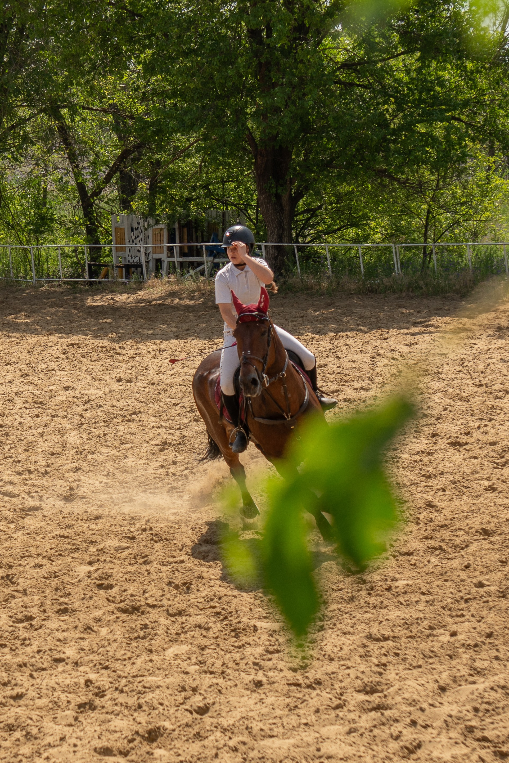 Соревнования по конкуру, Луганск. Фотограф в РФ и ЛНР Юлия Федосеева