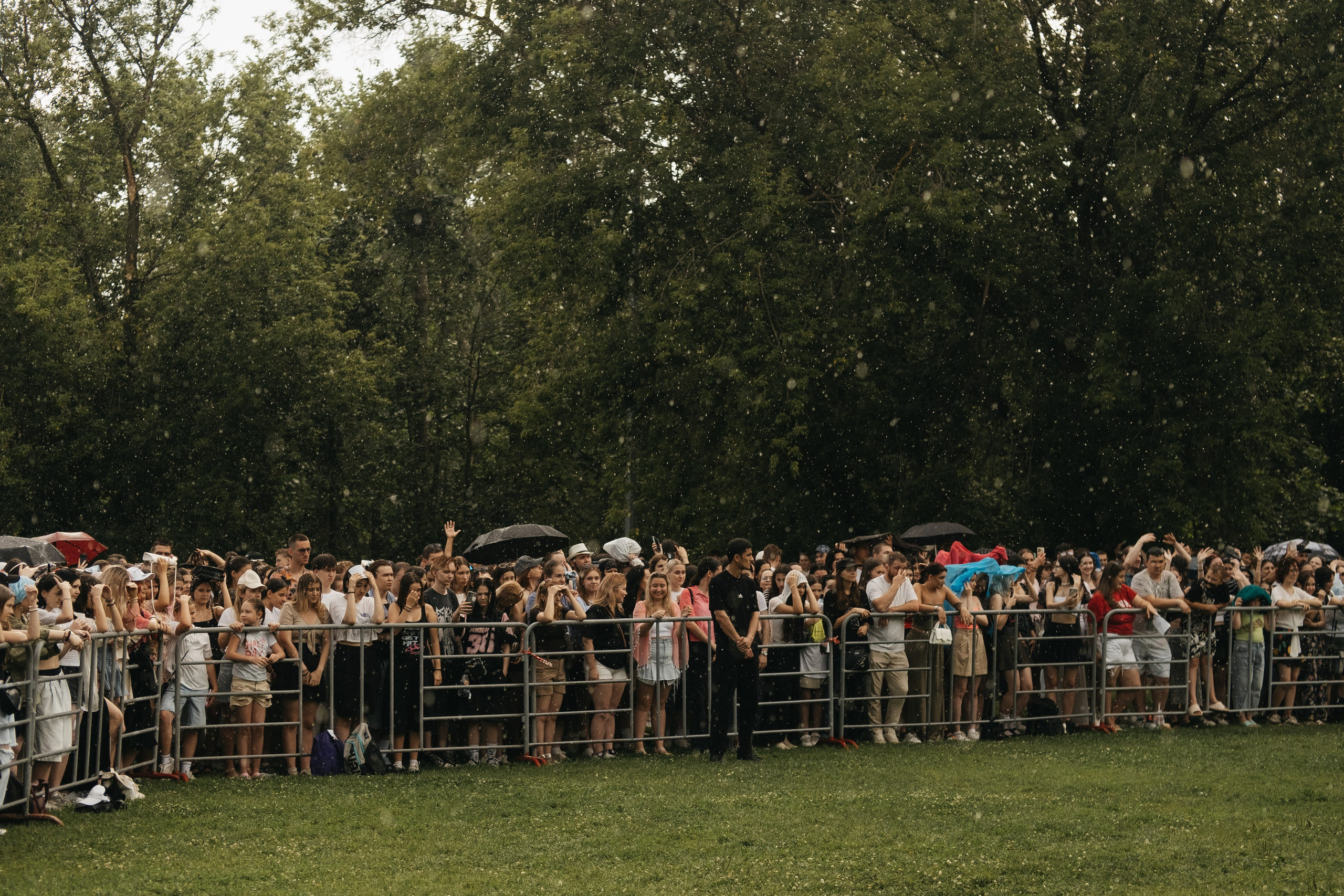 VECTOR FEST. Обо мне