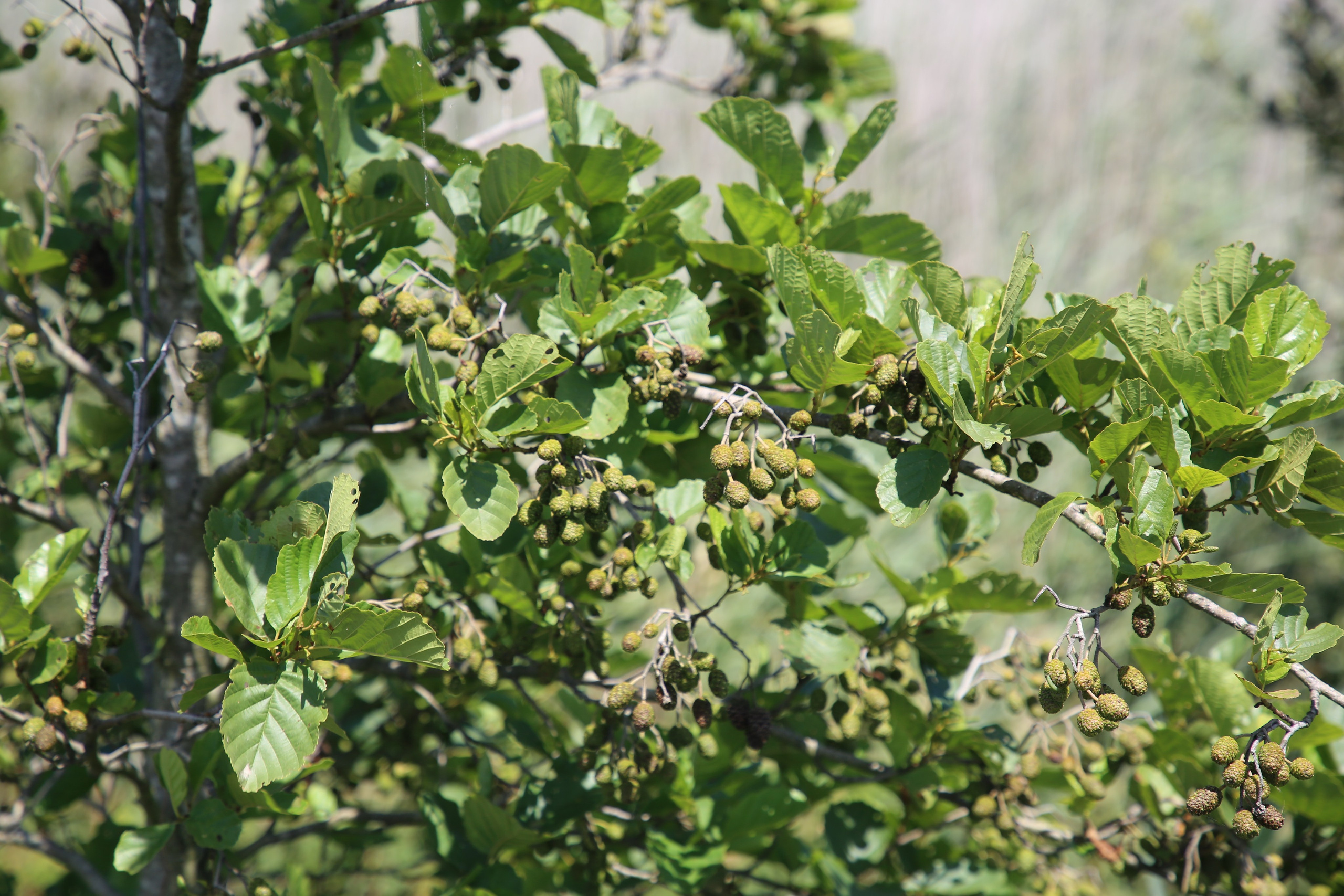 Esmoriz, Portugal. Andrey Filippov Photographer