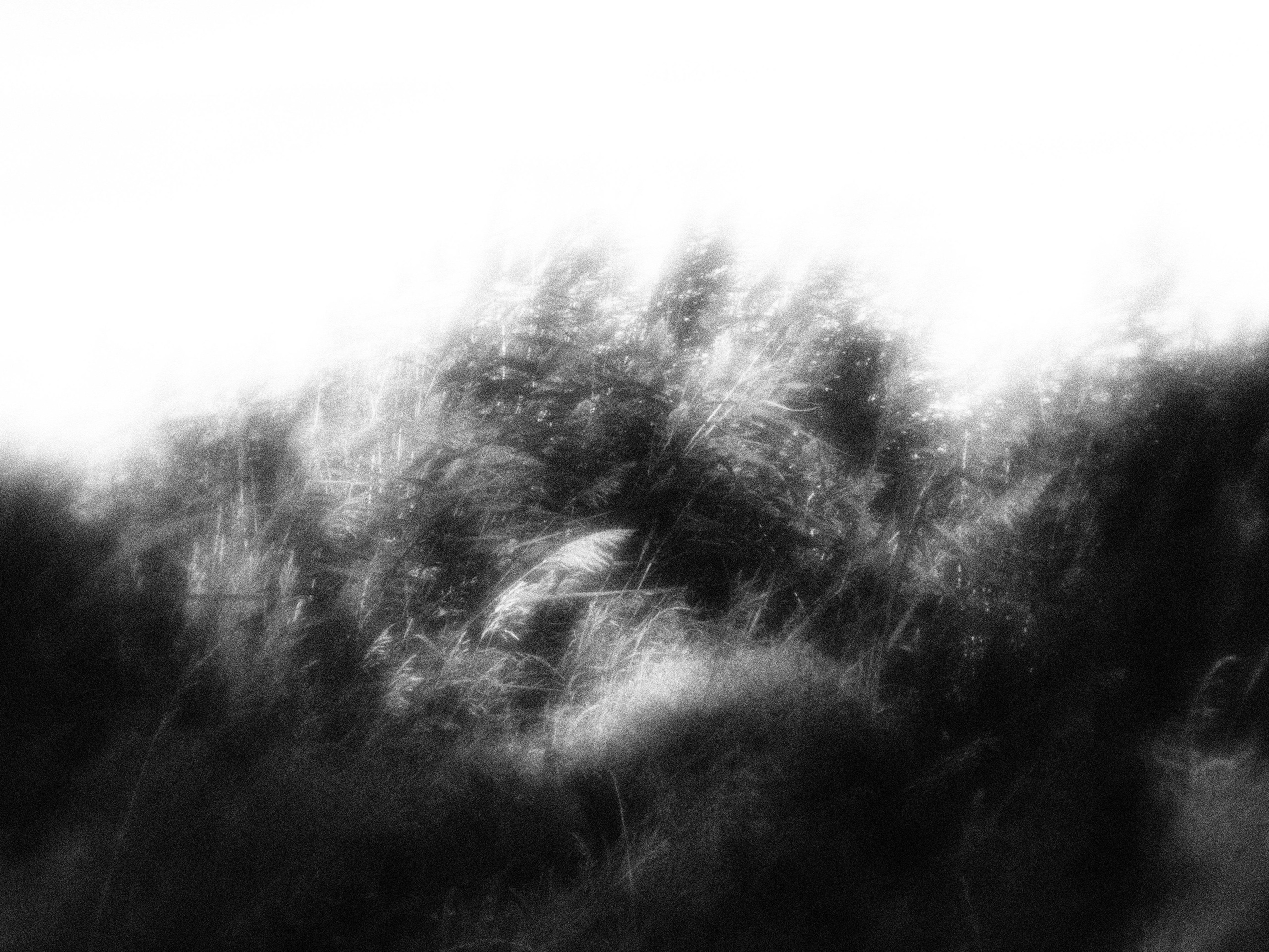 Внутривенные сны (2023)