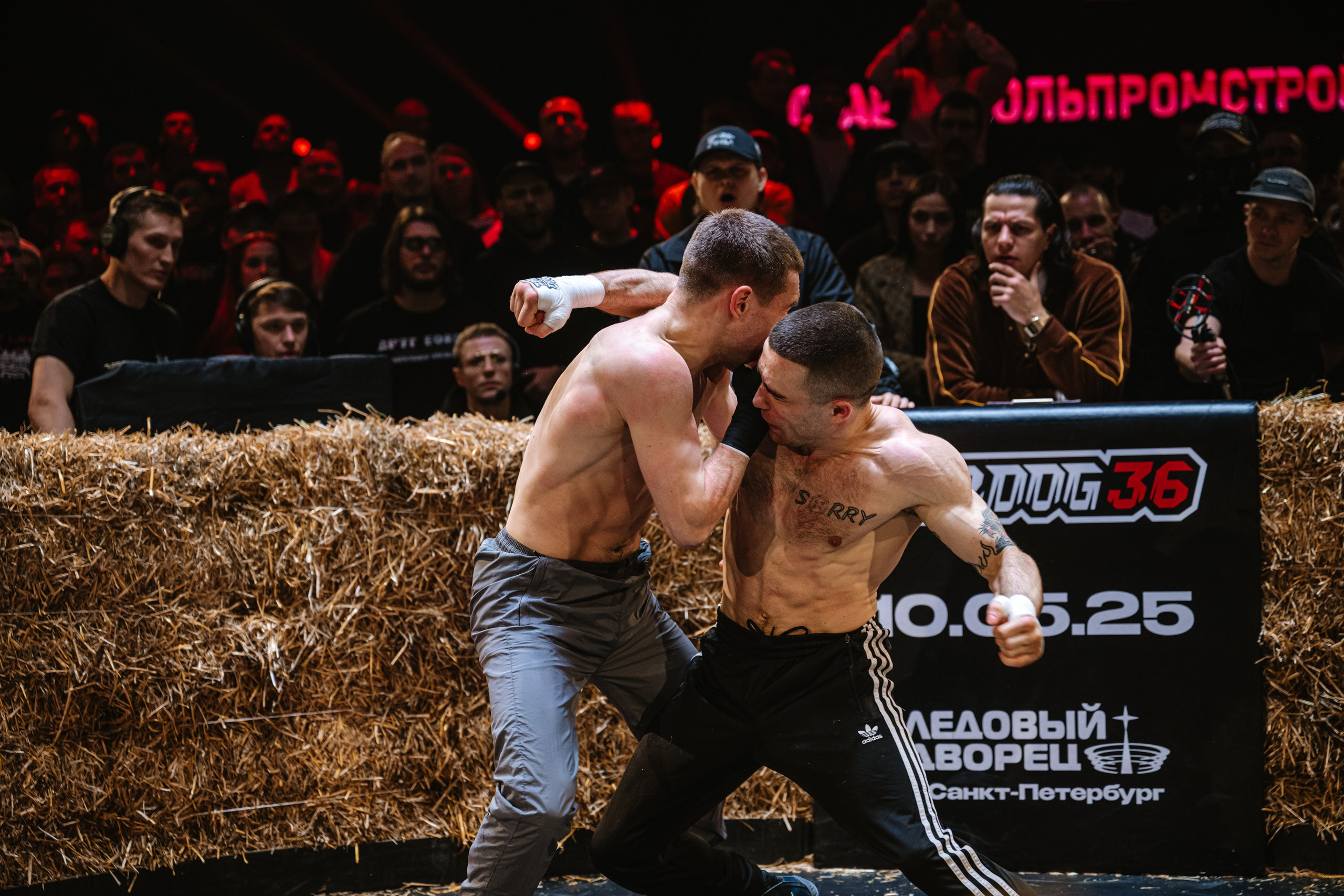 TOP DOG 2. Максим Комаров — Профессиональный фотограф