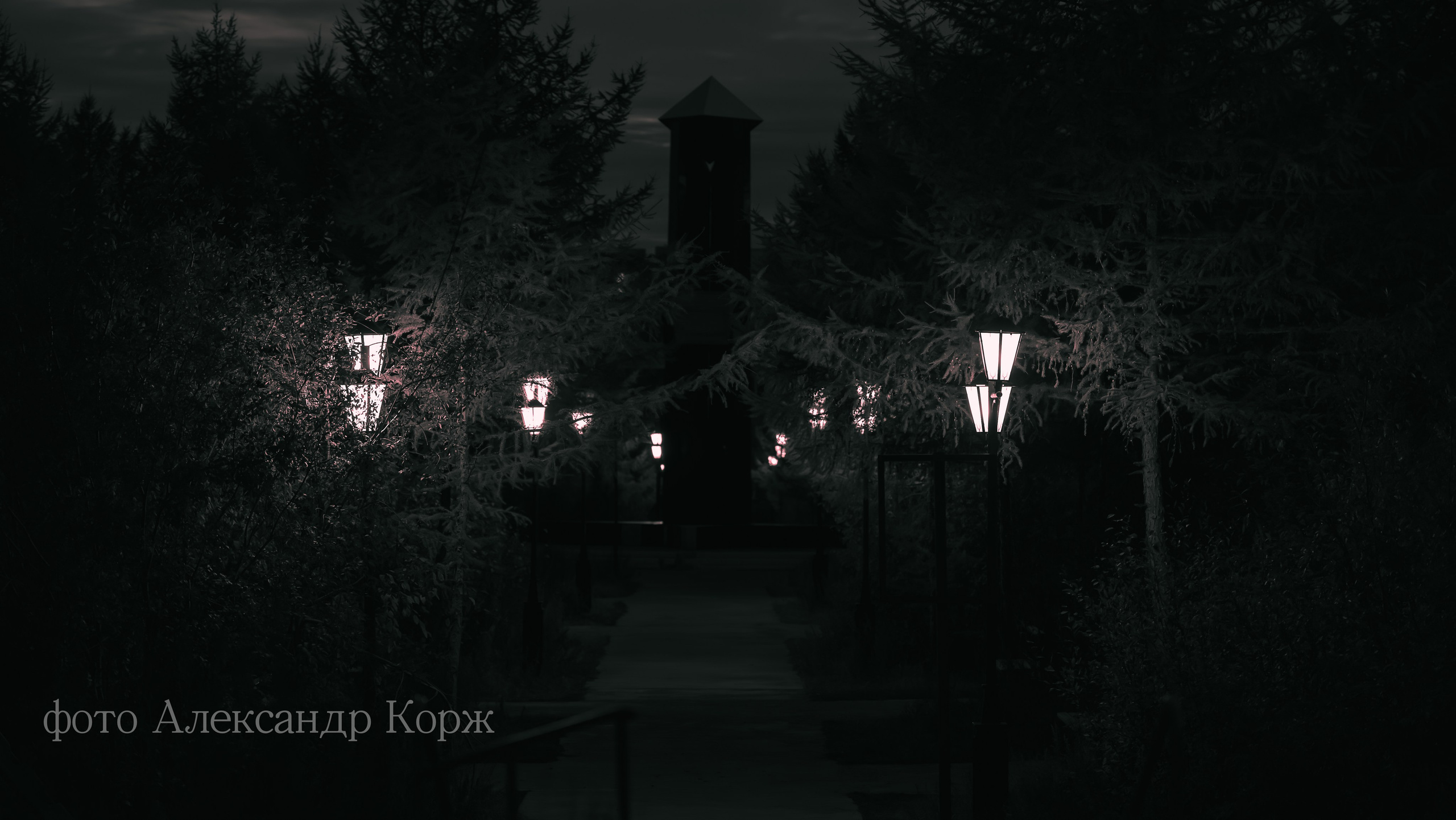 Золотая осень 2025. Айхал. Удачный. Мирный Якутия. Фотографии и видеосъемка, Айхал, Удачный, Якутия. Фотографии Айхал