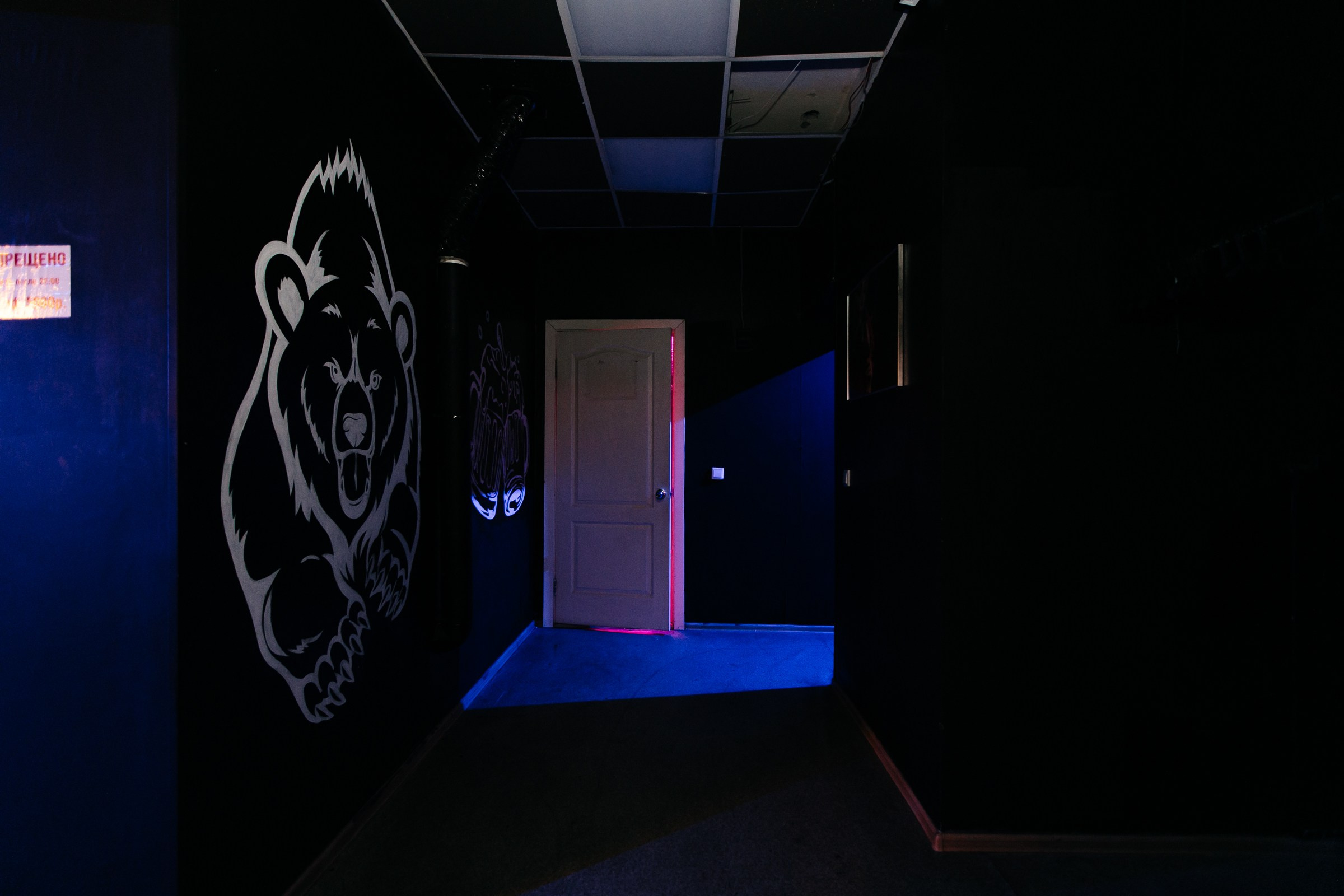 Геодезическая, 5/1 (лофт). Душевный фотограф Ваших самых ярких событий Марина Погребняк