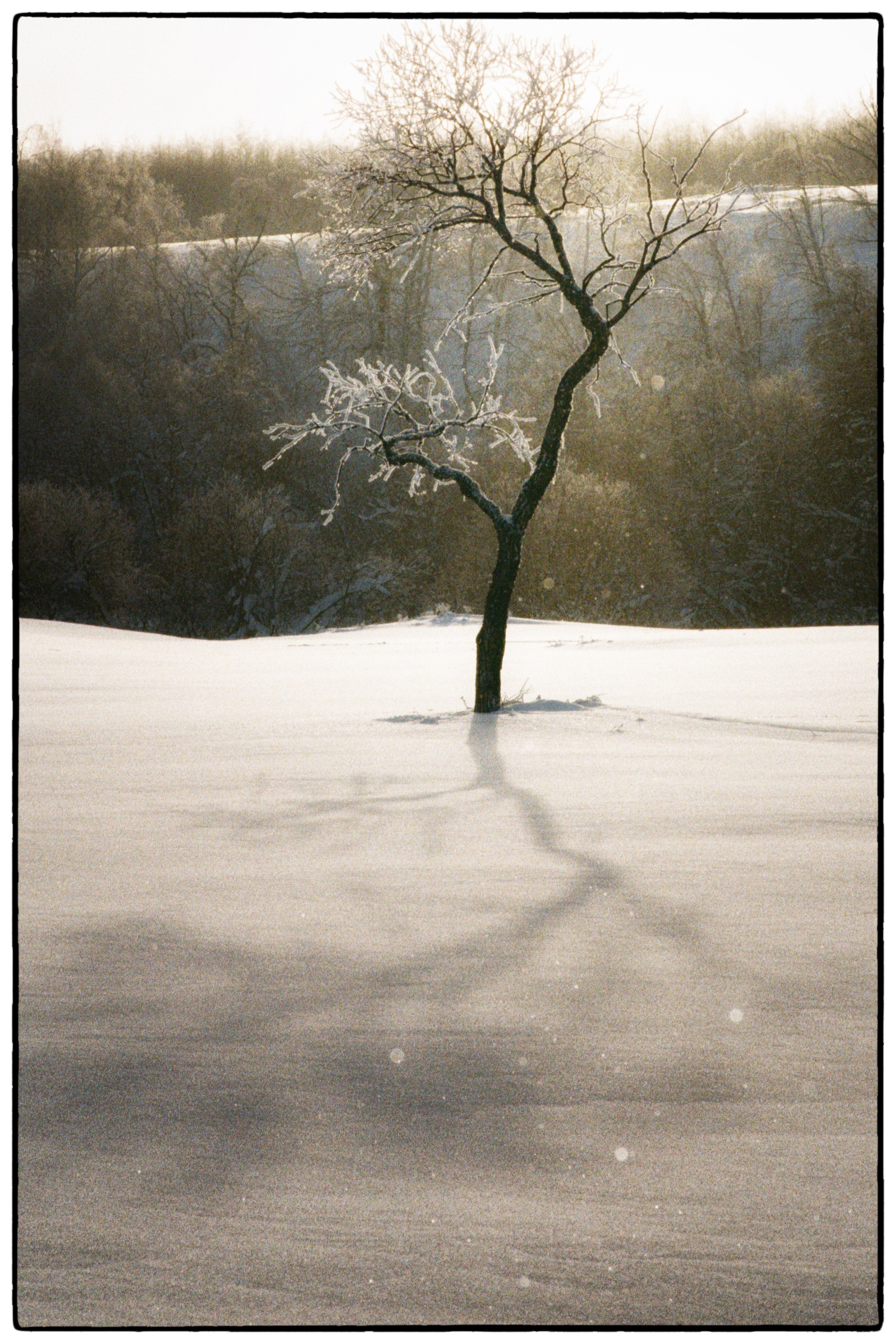 Зимнее. Фотограф Филякин Константин