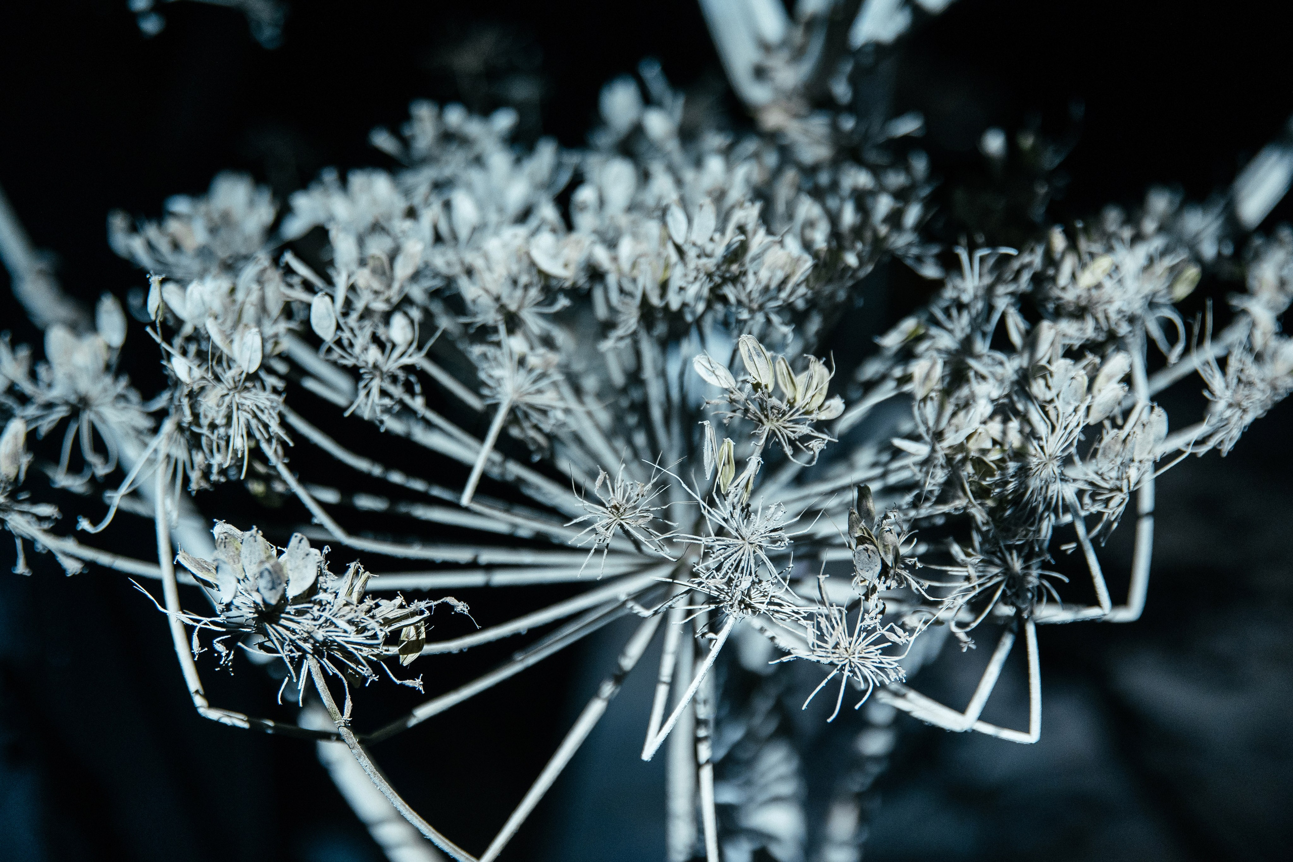 Артур Даша. Фотограф Артем Котелевец